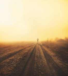 Early morning runner on a track, bathed in sunrise light, embodying calm focus.