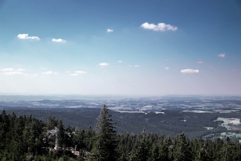 a scenic view of a valley and a forest