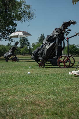 A golf course scene with two golf bags on push carts. One cart has an umbrella attached, and there are some golf balls on the grass. Trees and a clear blue sky are in the background.