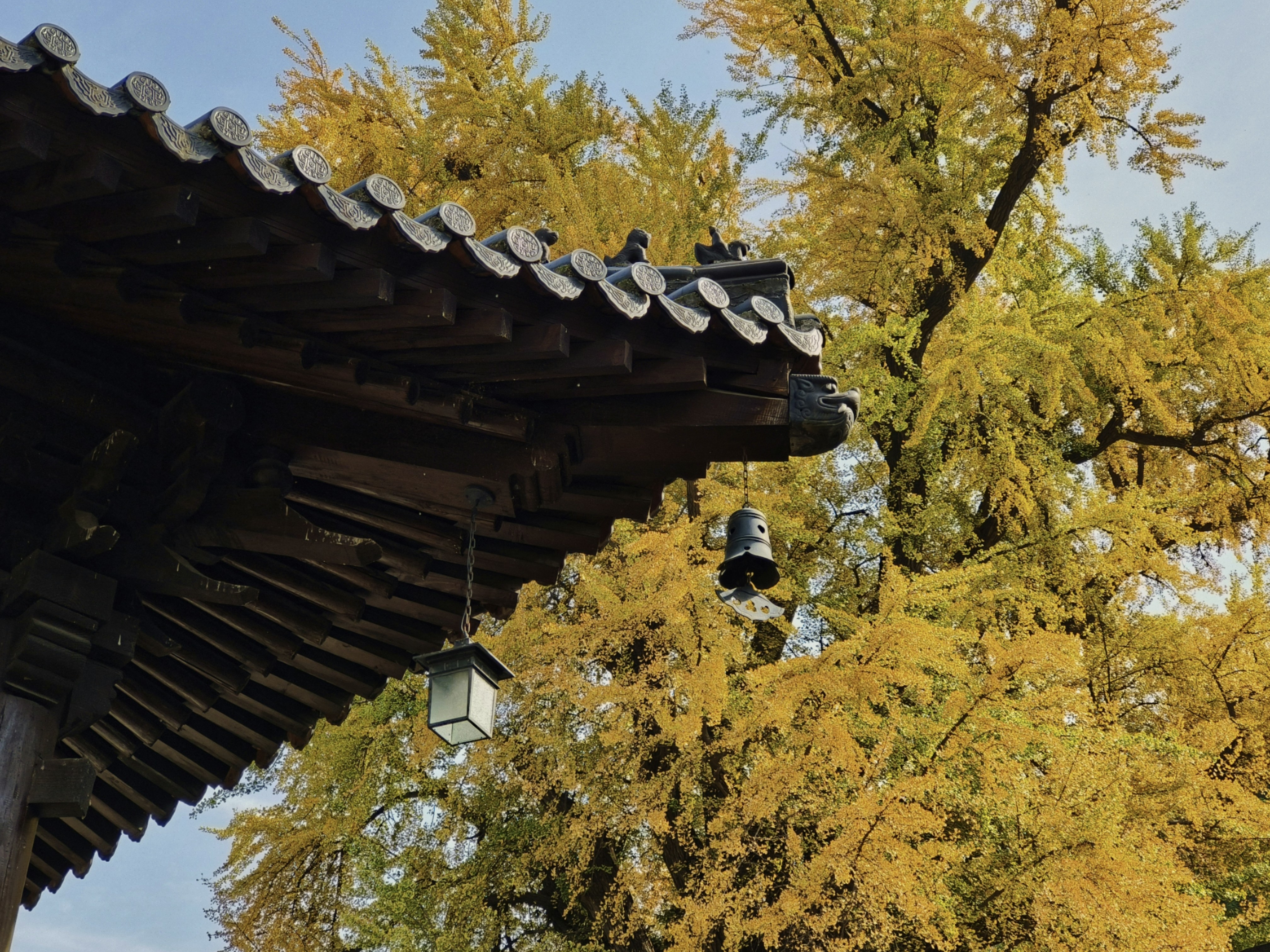 Photo by kuroku_hako