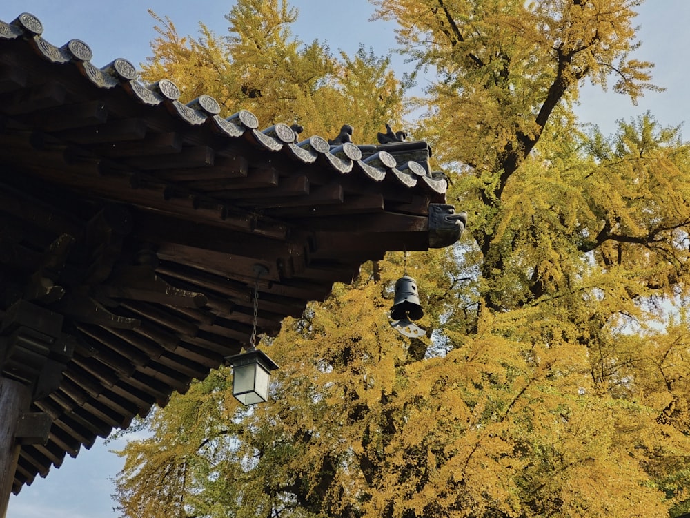 a lantern hanging from a roof in front of a tree