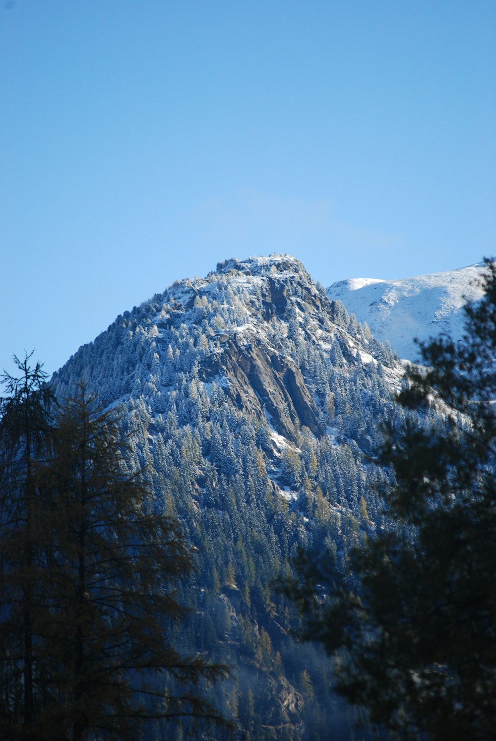 a snow covered mountain with trees in the foreground