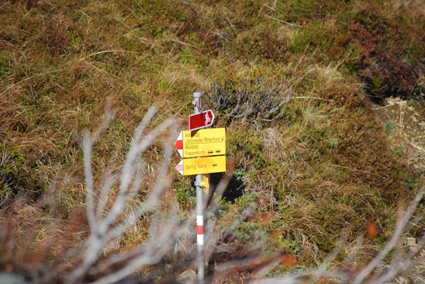 A hiking trail signpost stands amidst dense vegetation. The sign is yellow with black text, providing directions to various locations. Red directional arrows and a bicycle icon are visible on the signpost.