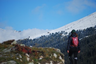 A person wearing outdoor clothing and a red backpack stands in the foreground, gazing at a snow-covered mountain slope in the distance. Pine trees cover the lower part of the mountain, contrasting with the bright blue sky. Patches of mist or clouds are visible near the mountain peaks.