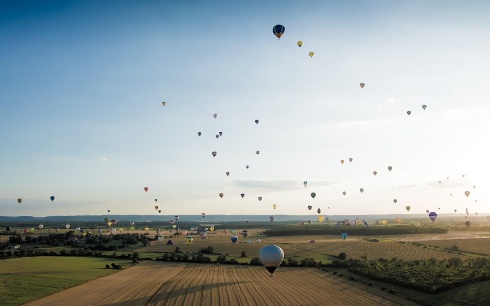 a field with many balloons flying in the sky