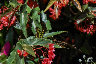 A vibrant illustration of children reading books under a tree, surrounded by colorful butterflies.