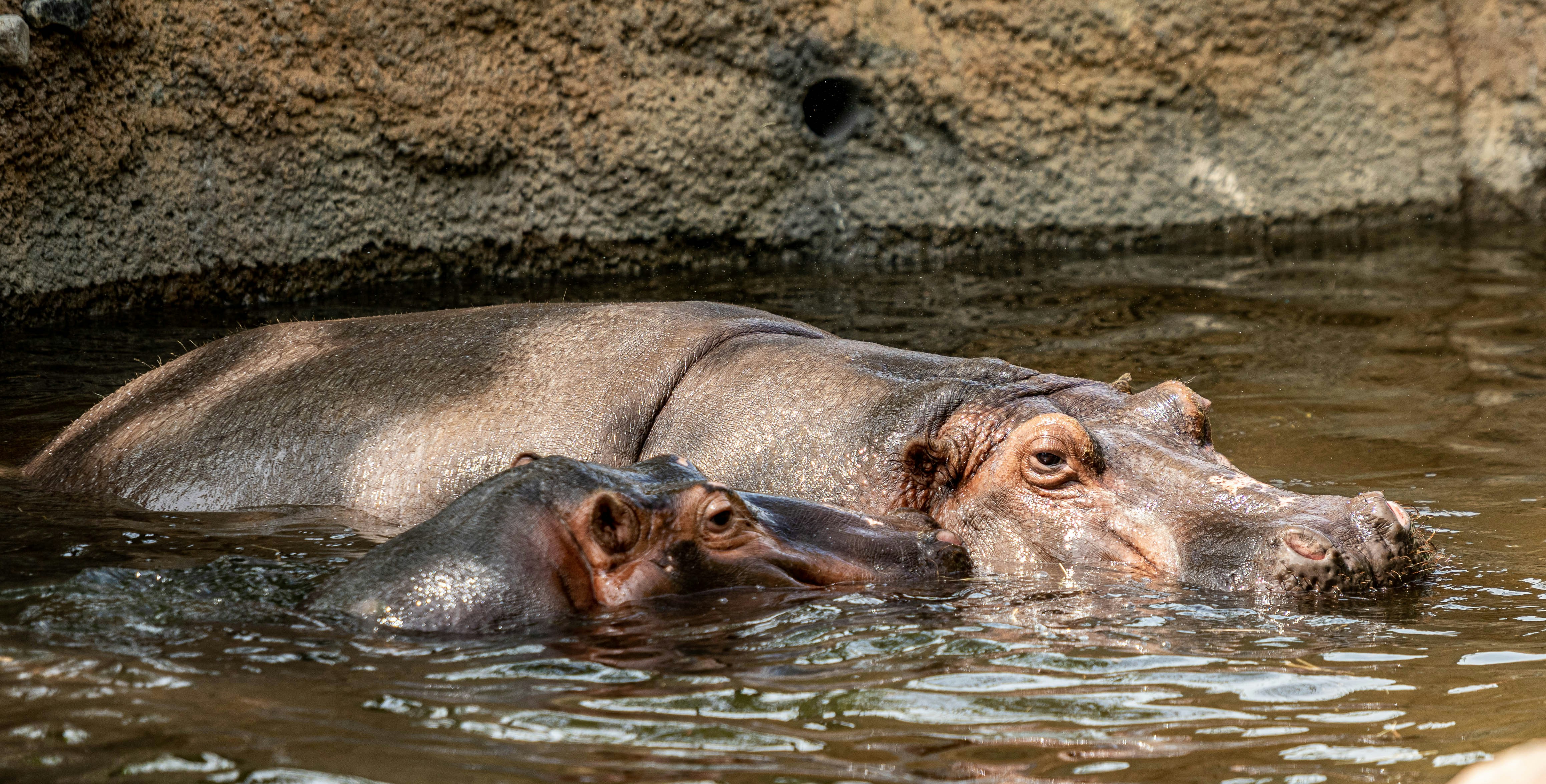 Photo by mikegattorna