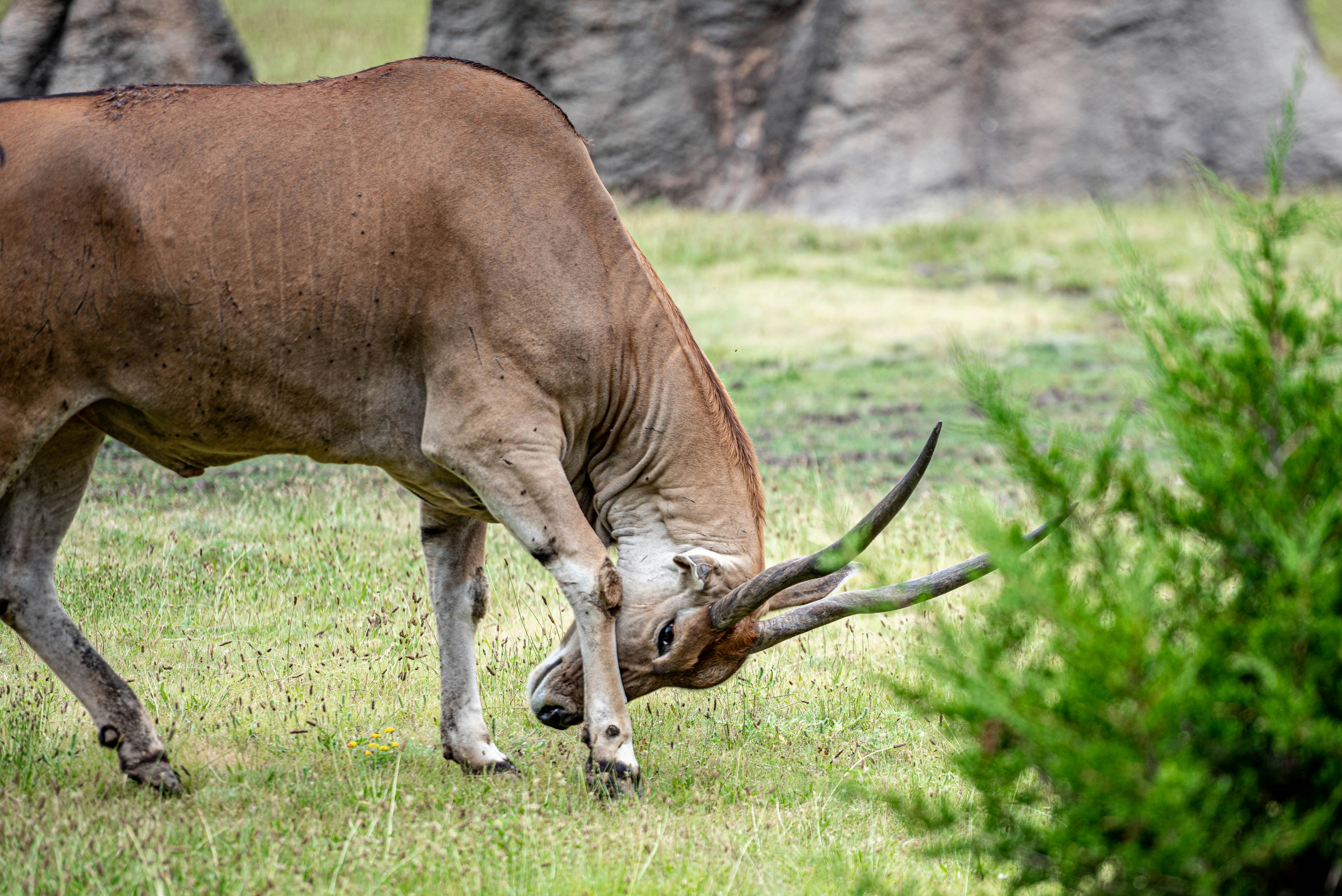 Photo by mikegattorna