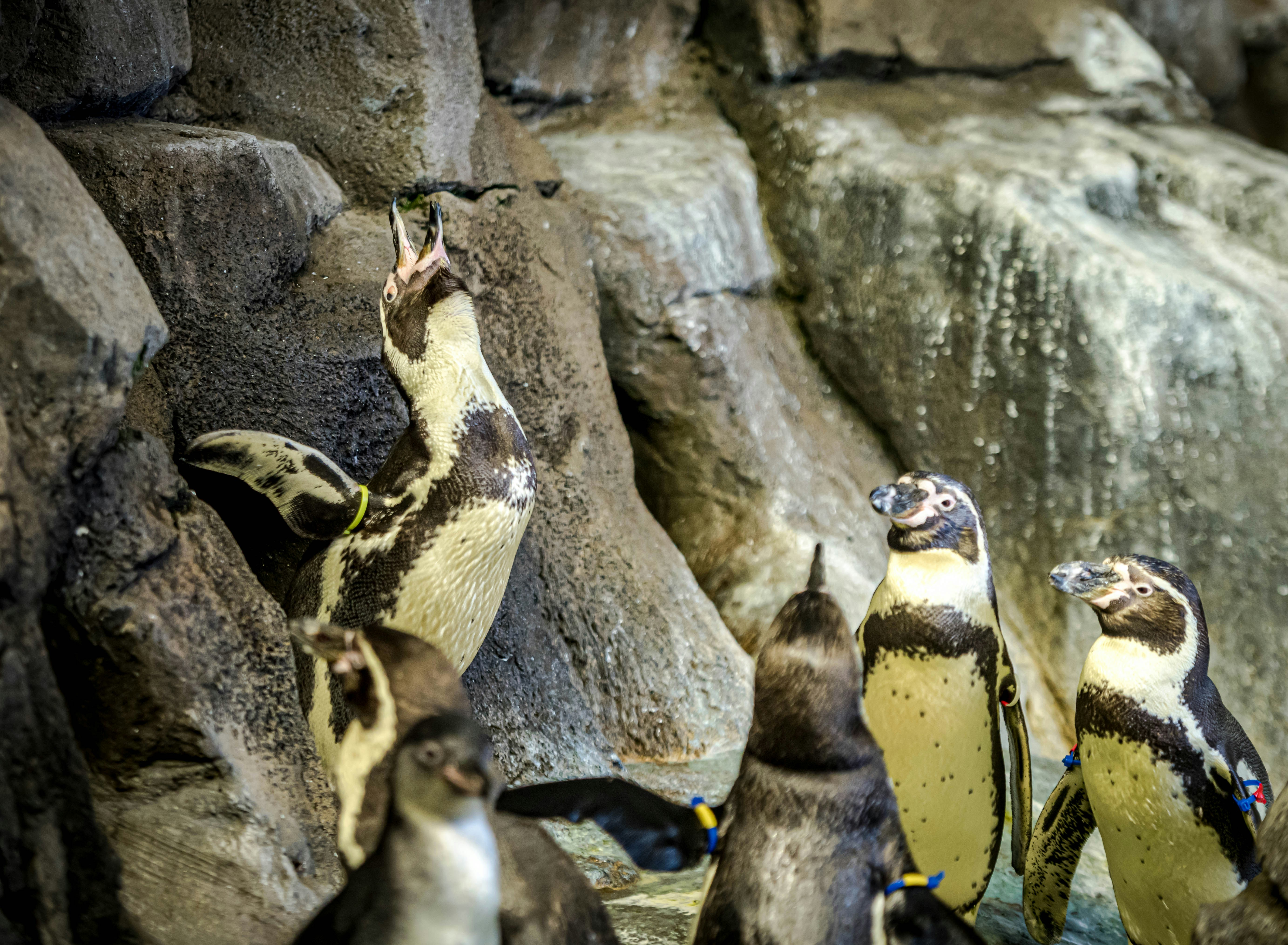 Photo by mikegattorna