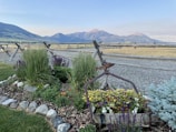 A scenic landscape featuring a variety of flowering plants and shrubs in the foreground with a decorative wooden container filled with vibrant flowers. In the background, a rustic wooden fence runs along a gravel path, with vast open fields and mountains under a clear blue sky.