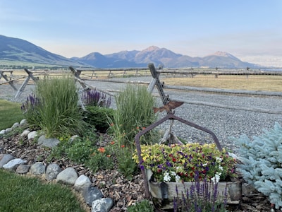 A scenic landscape featuring a variety of flowering plants and shrubs in the foreground with a decorative wooden container filled with vibrant flowers. In the background, a rustic wooden fence runs along a gravel path, with vast open fields and mountains under a clear blue sky.