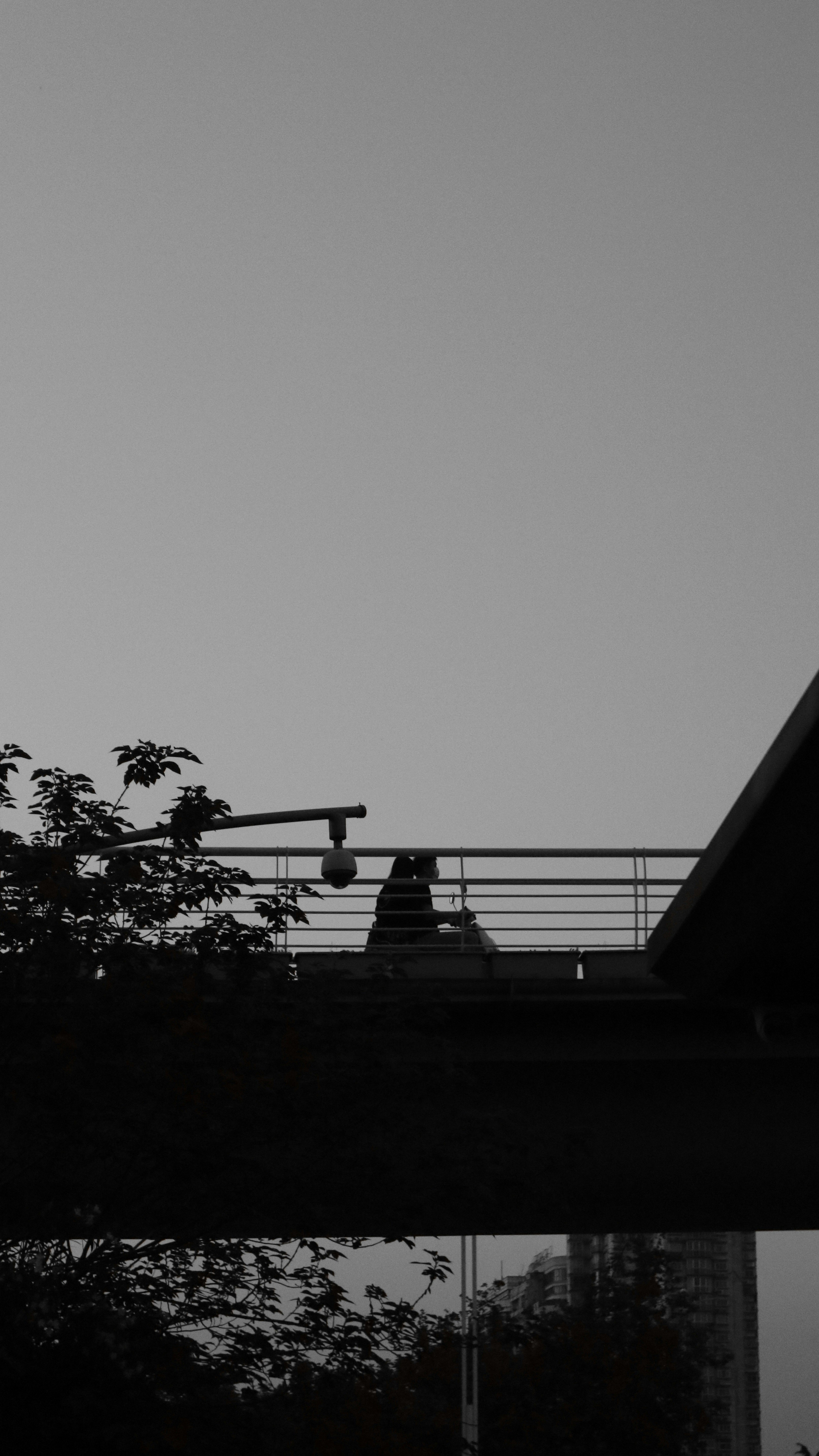 Photo by wangsheeran