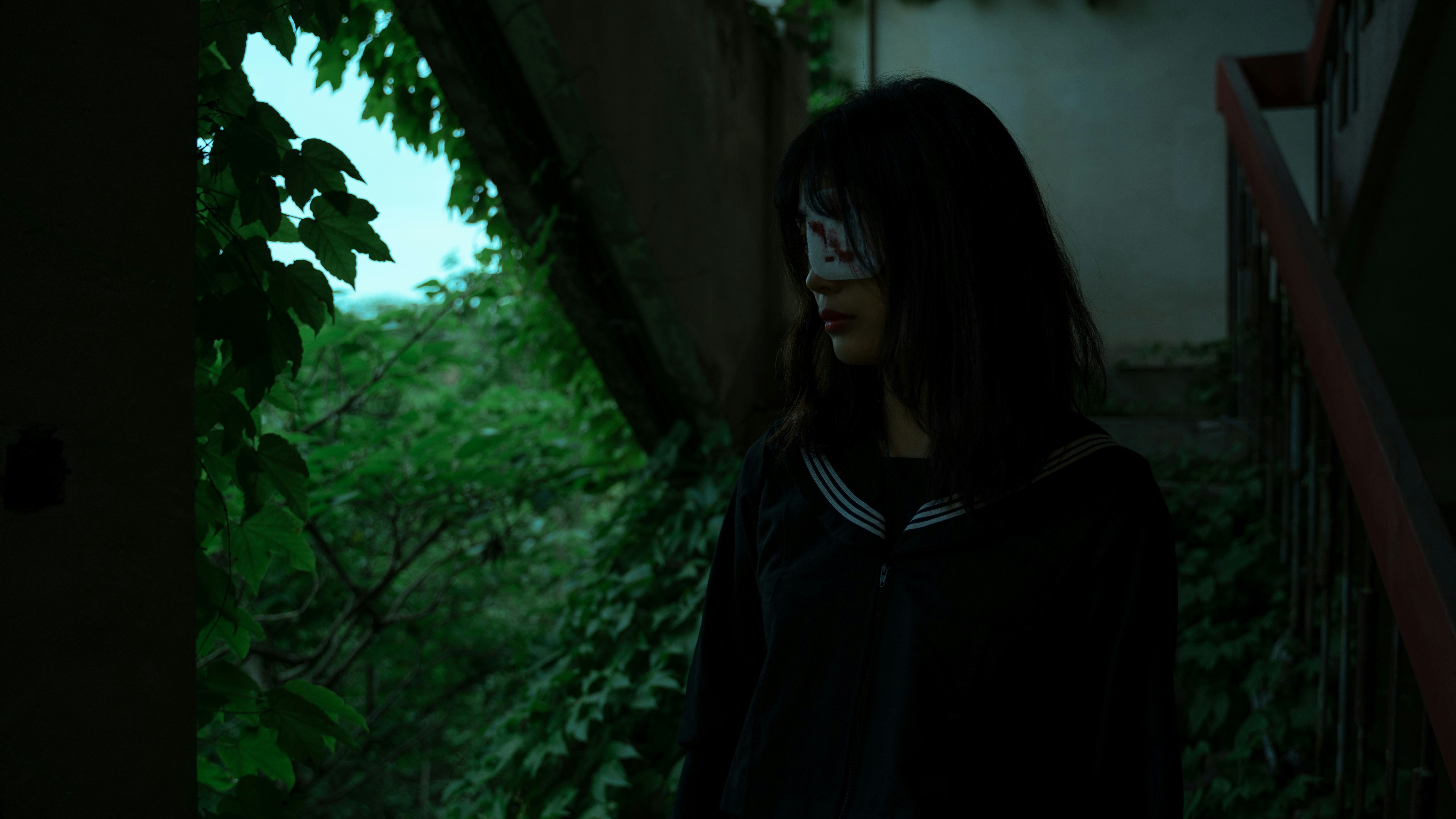 Photo by wangsheeran