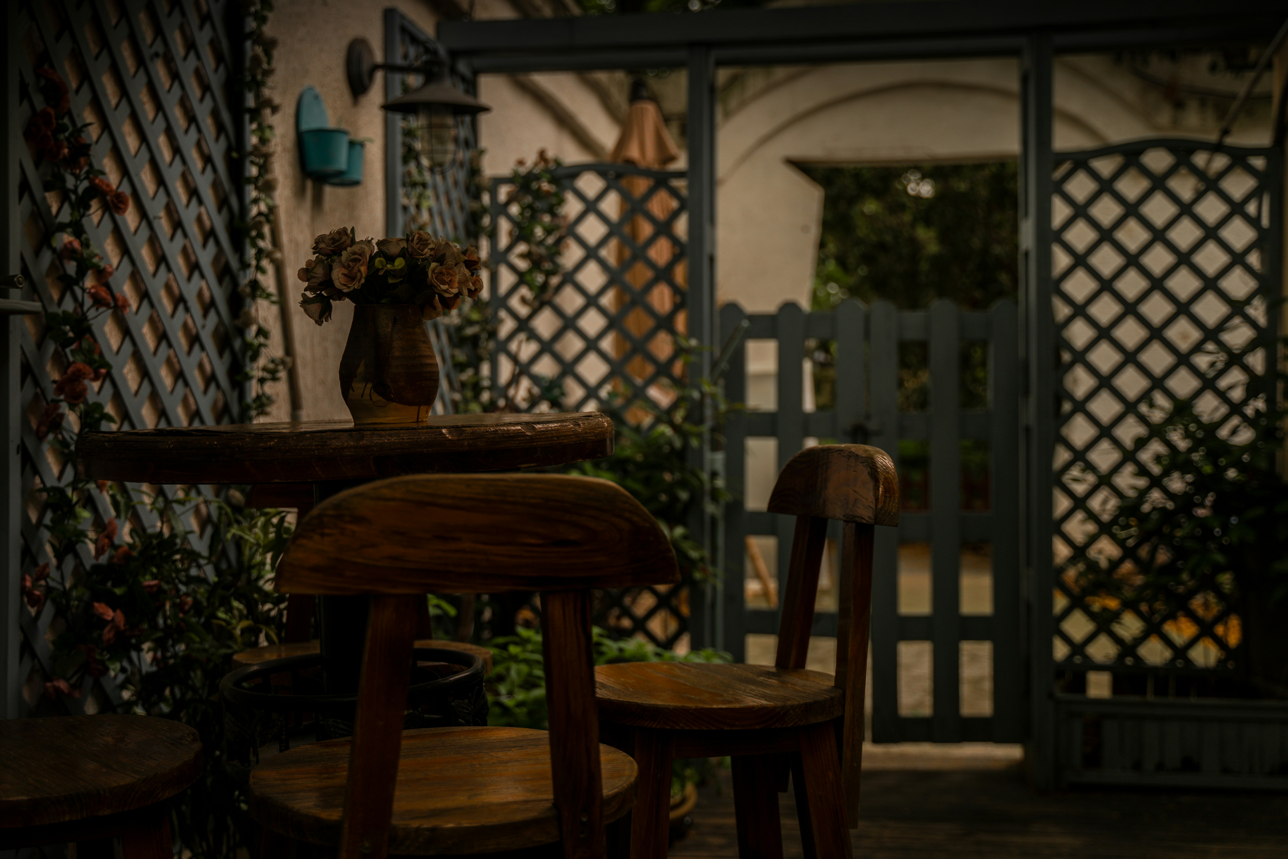 Photo by wangsheeran