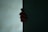 A dark and eerie scene featuring a partially visible hand gripping the edge of a door or wall. The hand is covered in a red substance resembling blood, creating a suspenseful and mysterious atmosphere.