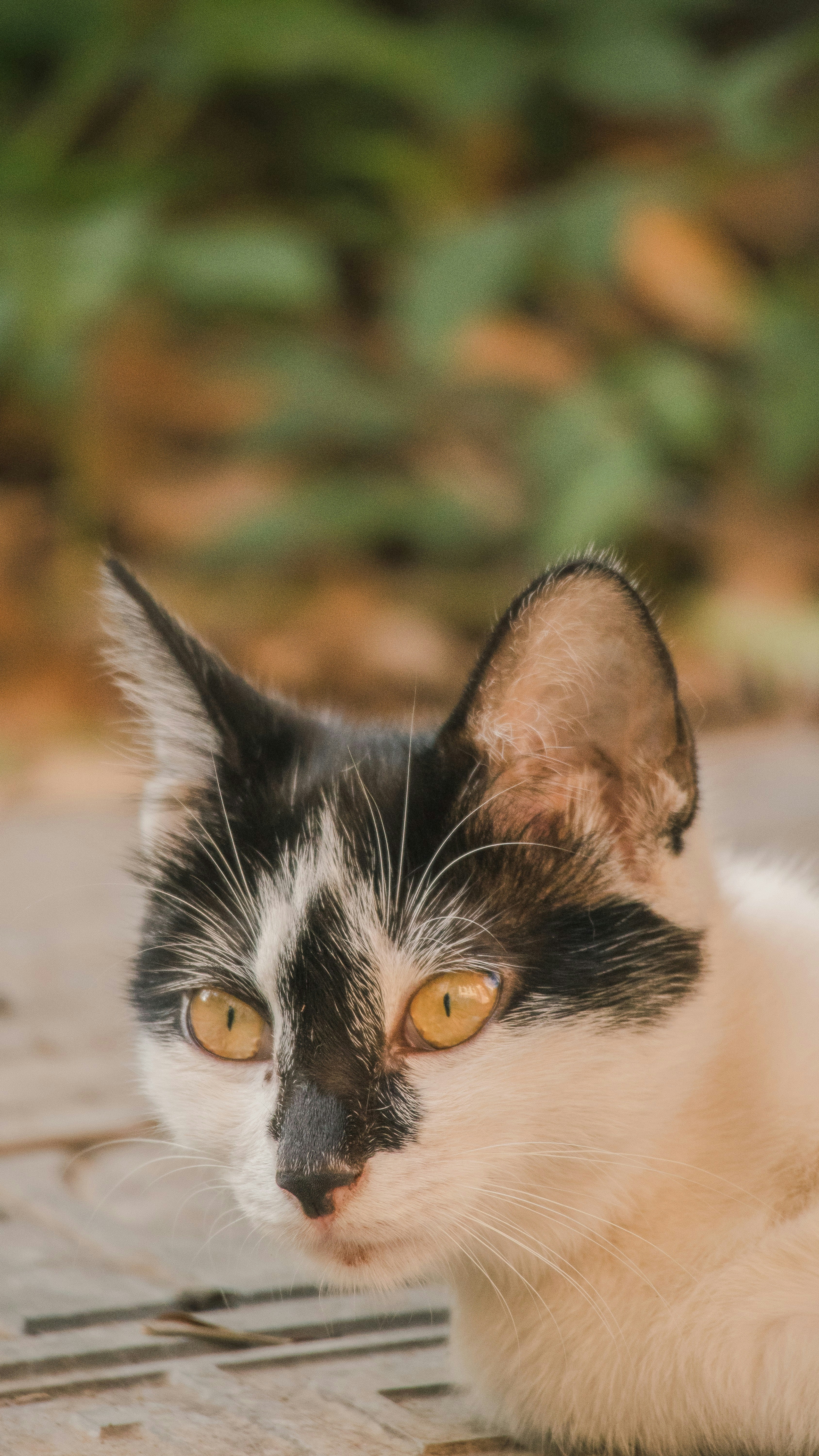 Photo by wangsheeran