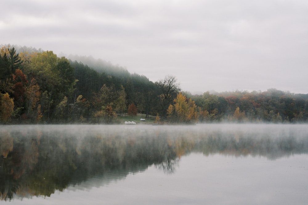 a body of water surrounded by trees and fog