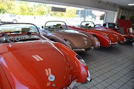 A showroom displays a collection of classic convertible cars with shiny exteriors. The bright lighting highlights the sleek, vintage design. The cars are parked closely together on a tiled floor, with large windows allowing natural light to filter in, revealing greenery outside.