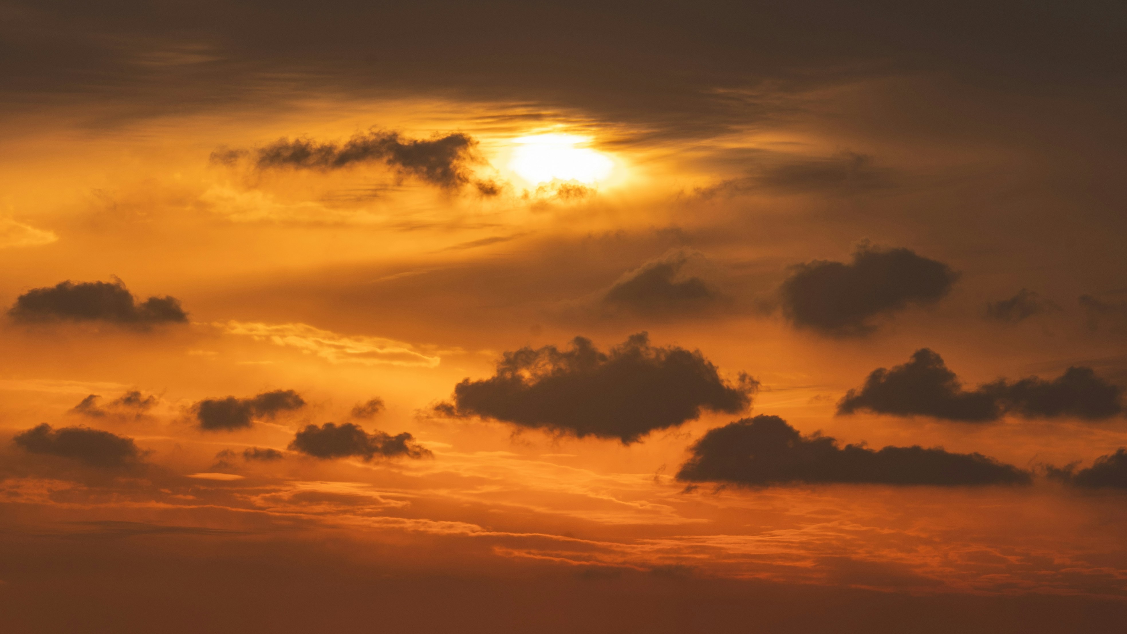 Photo by wangsheeran