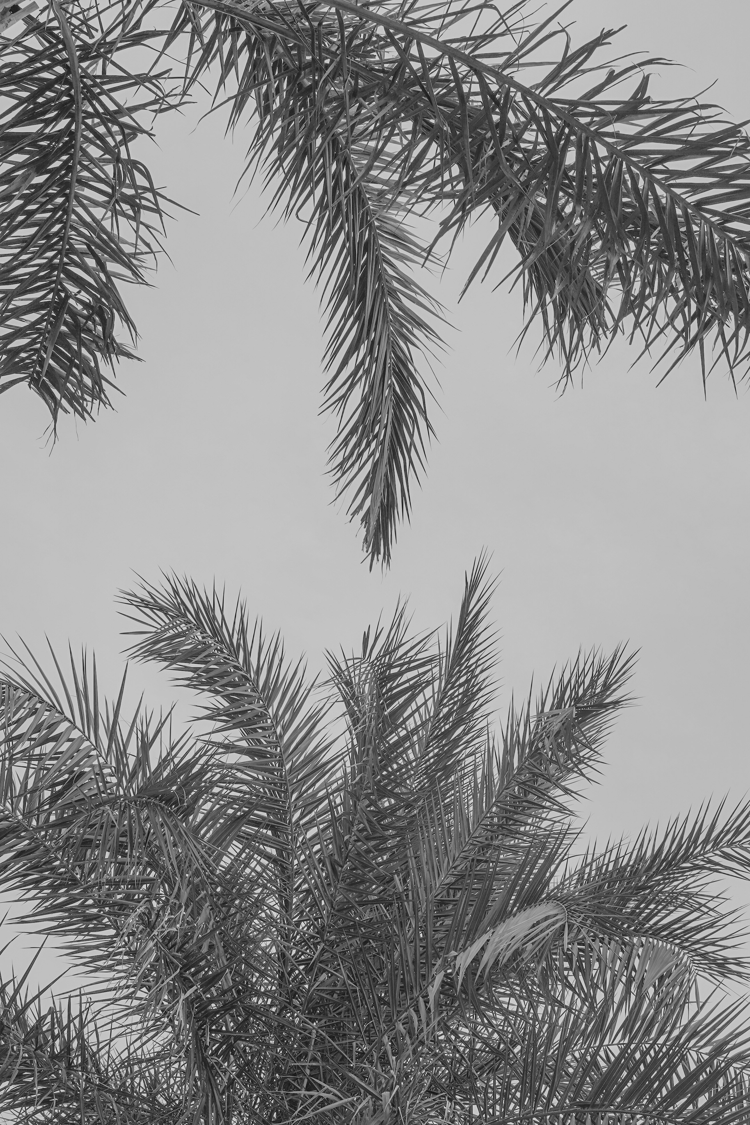 Photo by wangsheeran