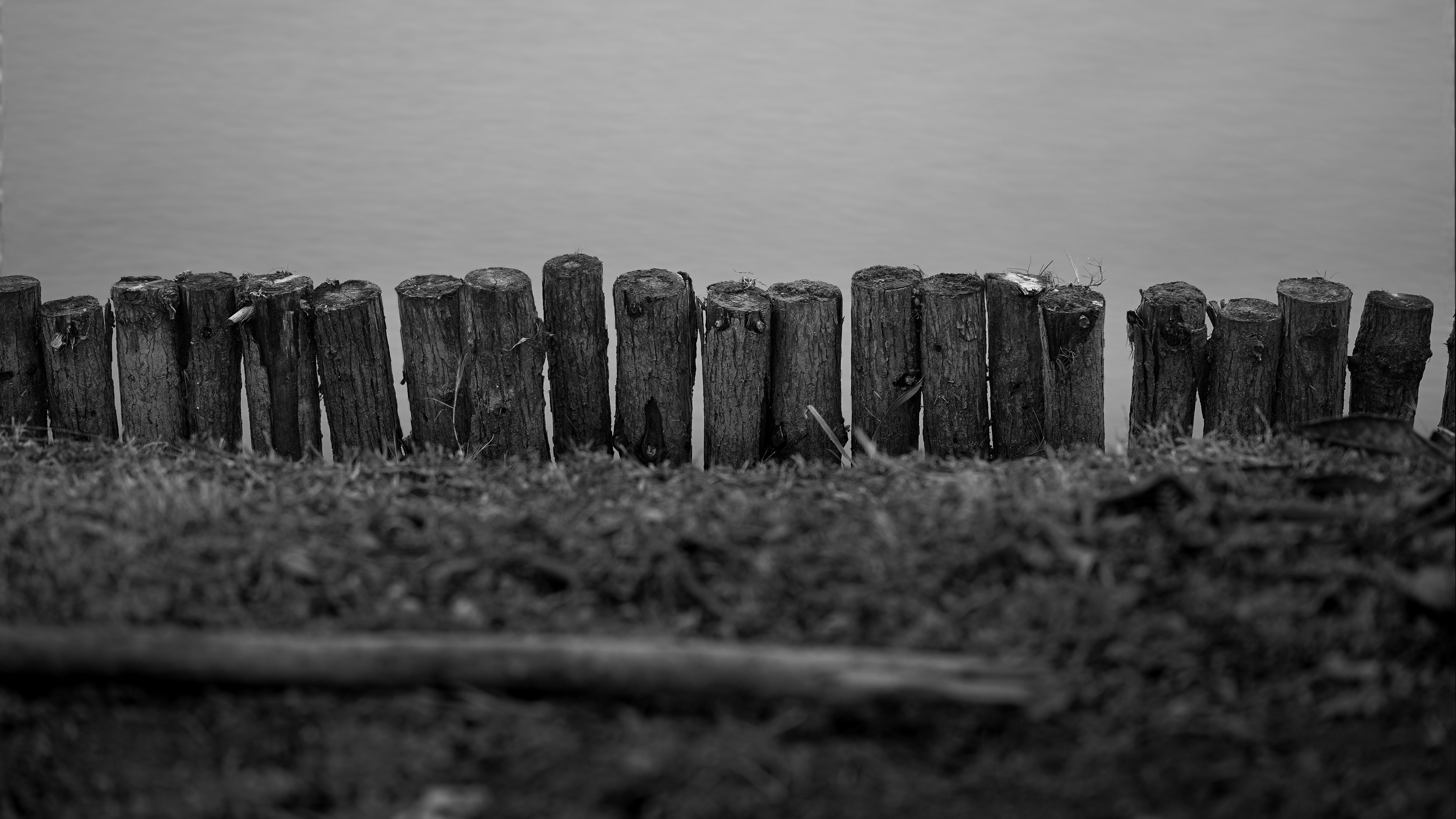 Photo by wangsheeran