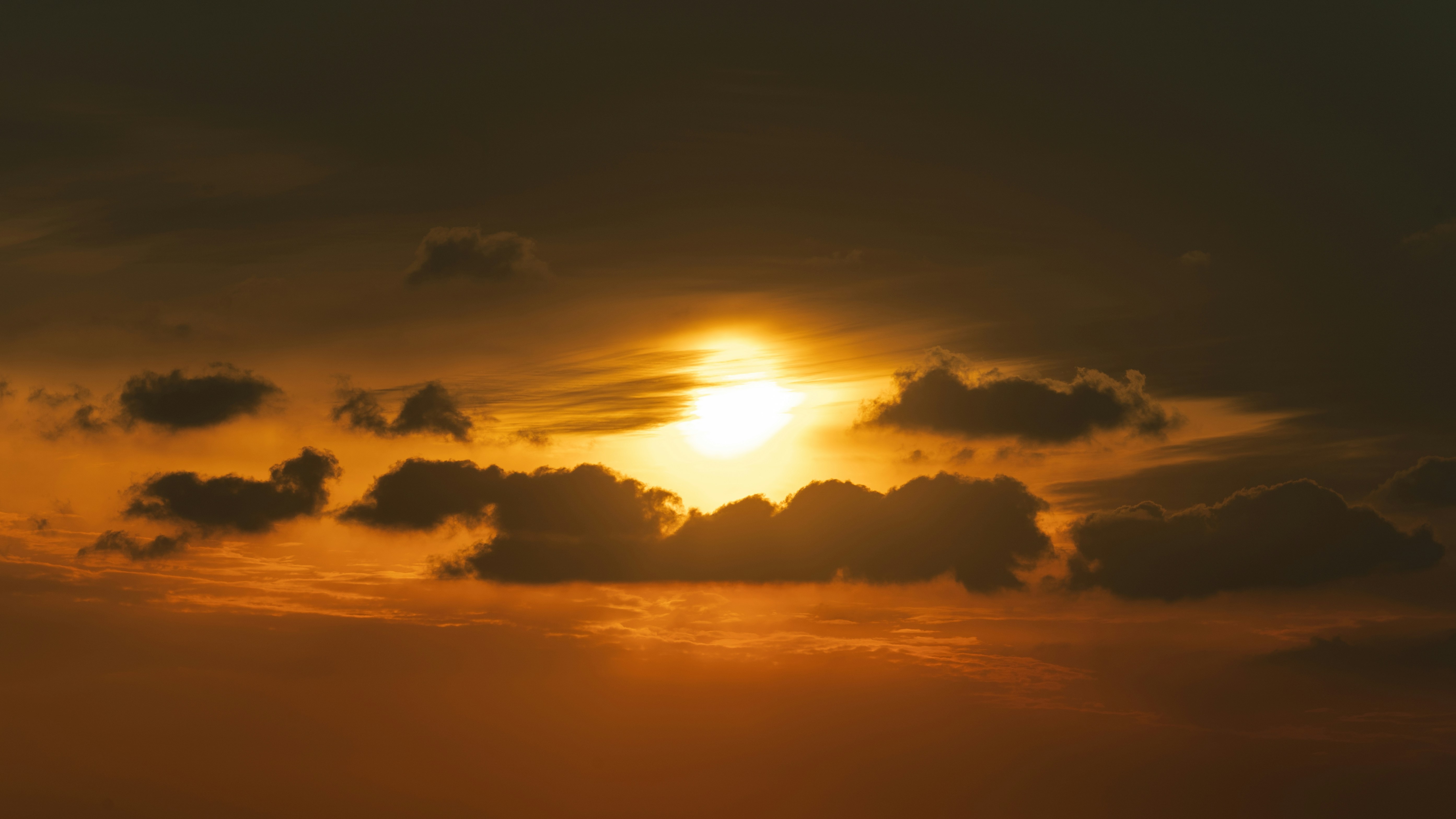 Photo by wangsheeran