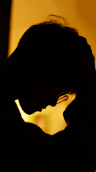 a silhouette of a person using a cell phone