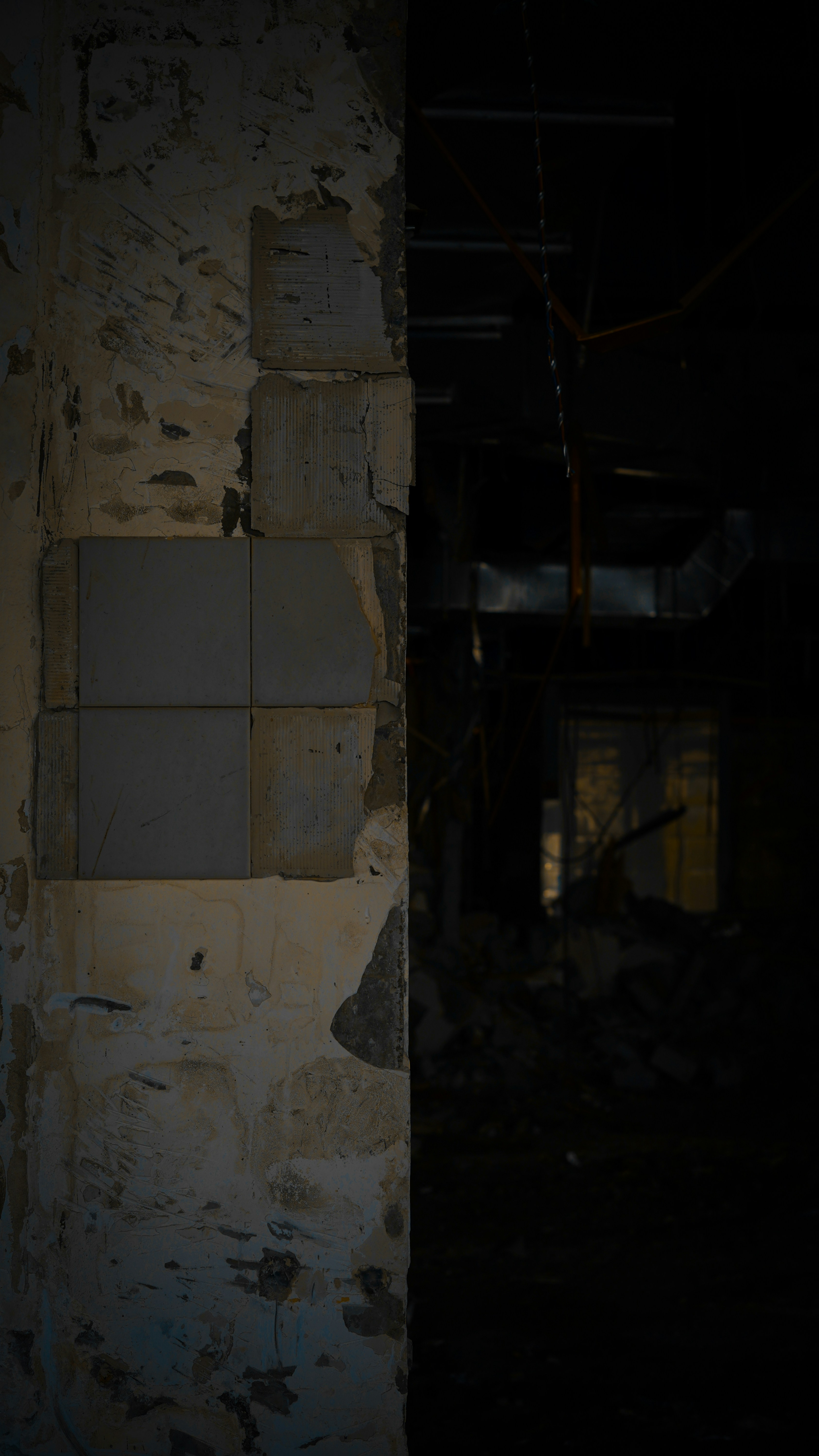 Photo by wangsheeran