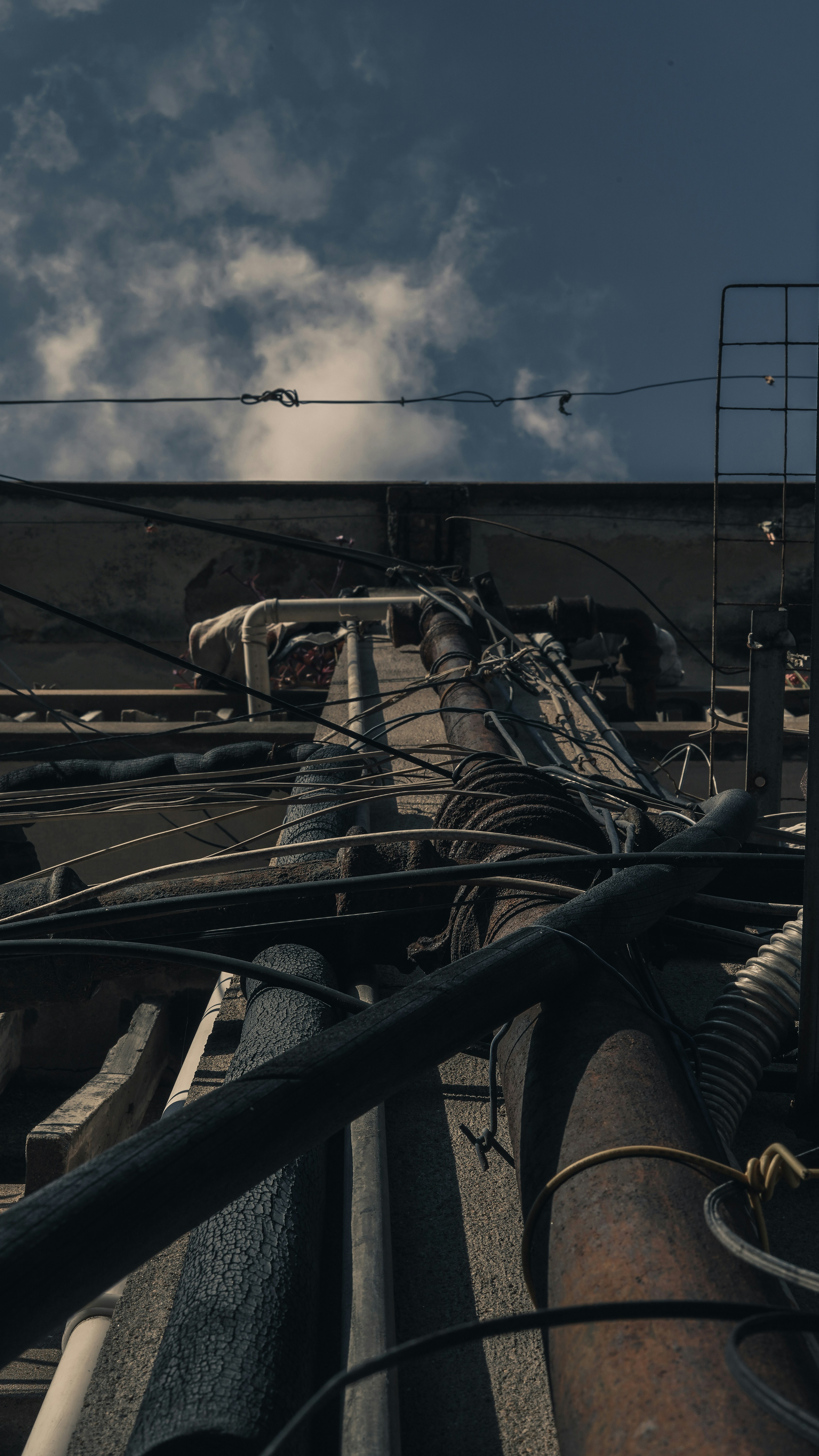 Photo by wangsheeran