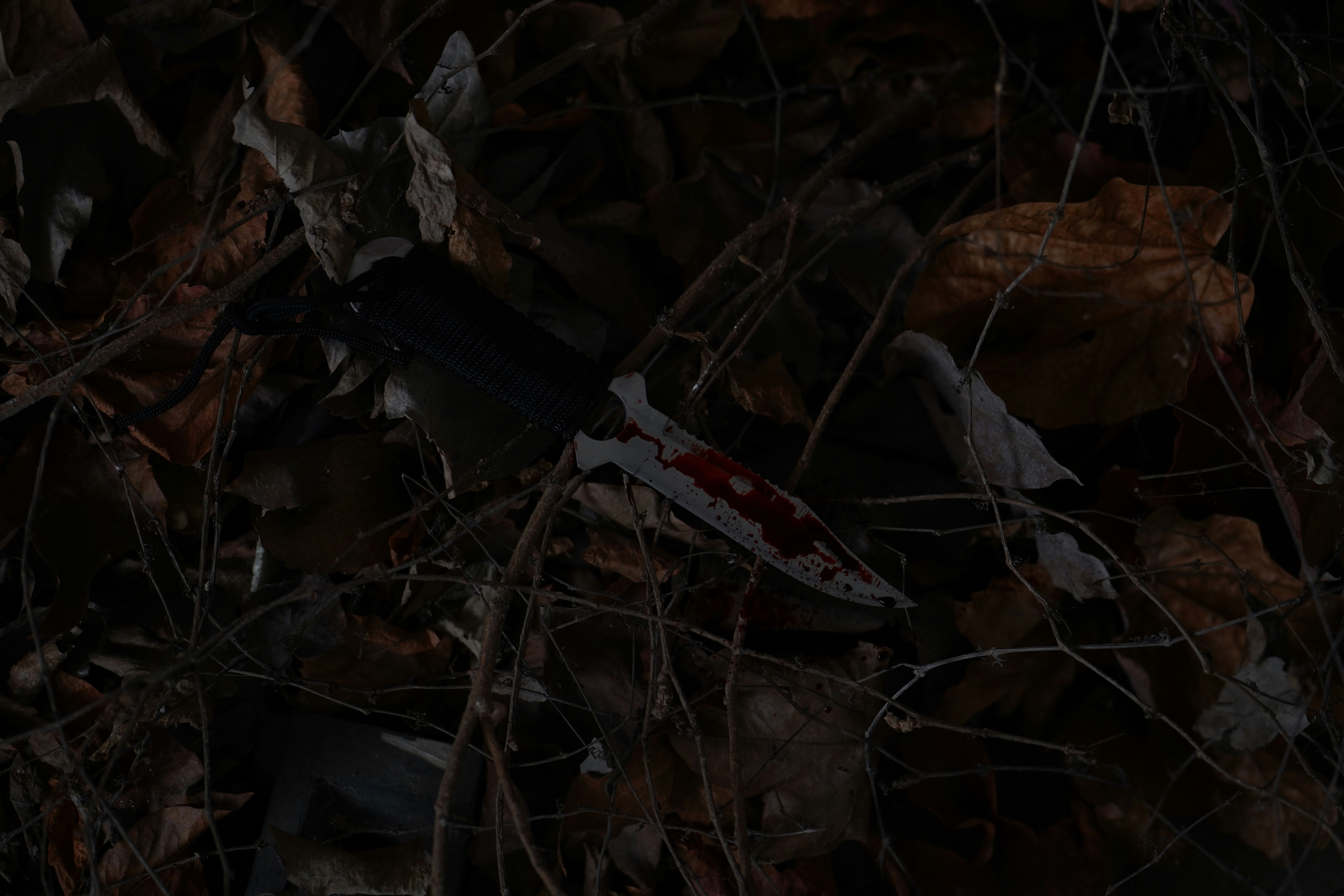 Photo by wangsheeran