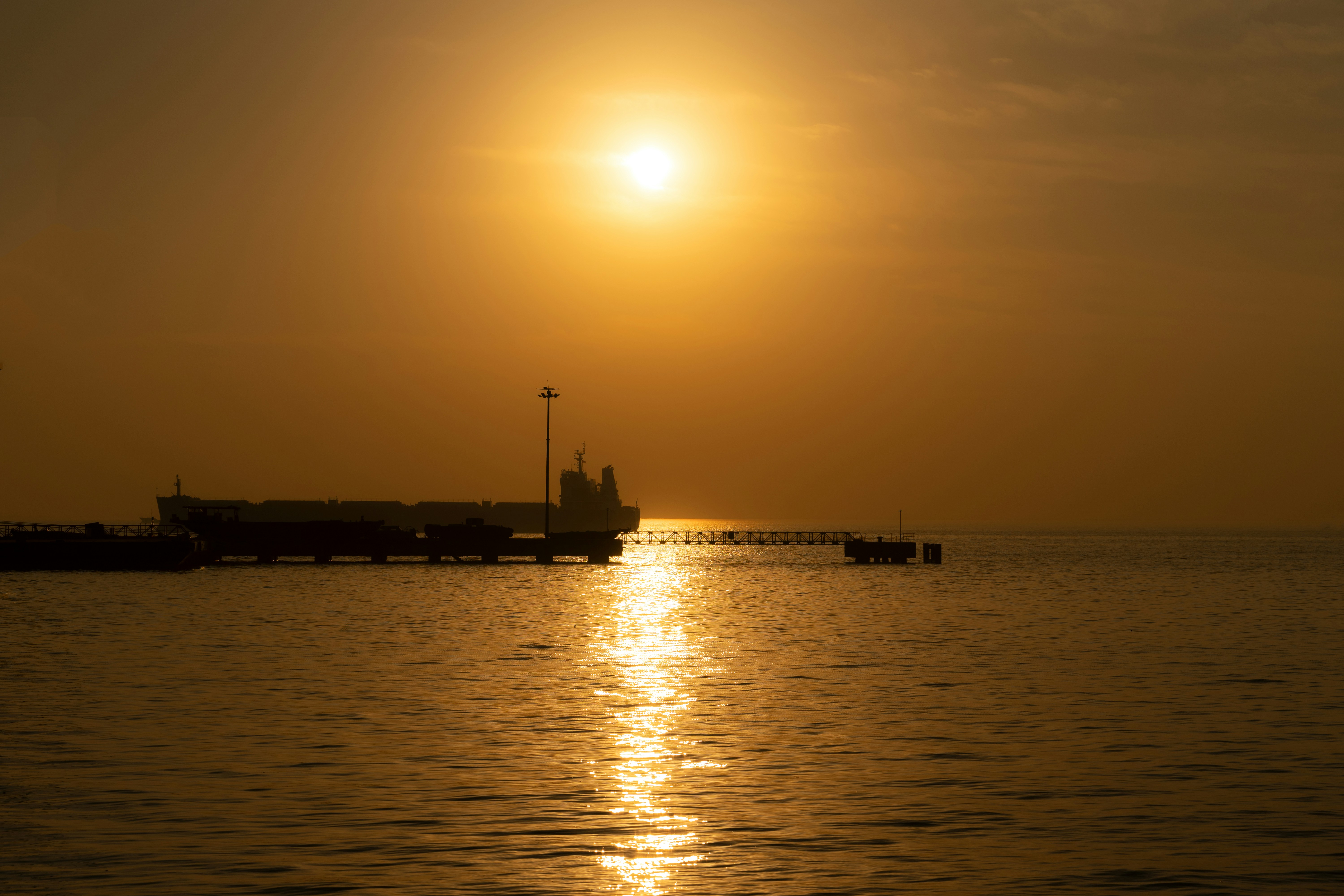 Photo by wangsheeran