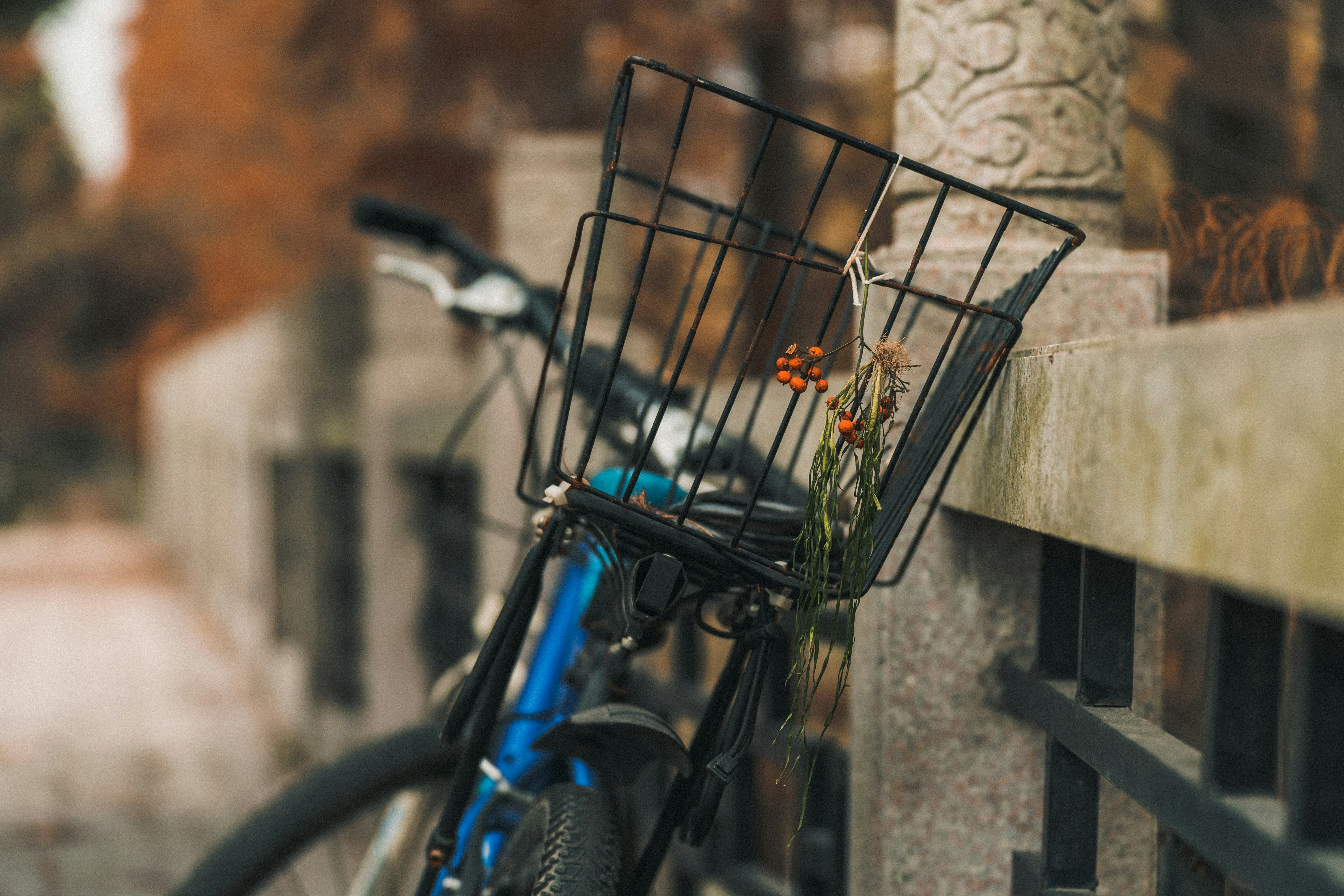 Photo by wangsheeran