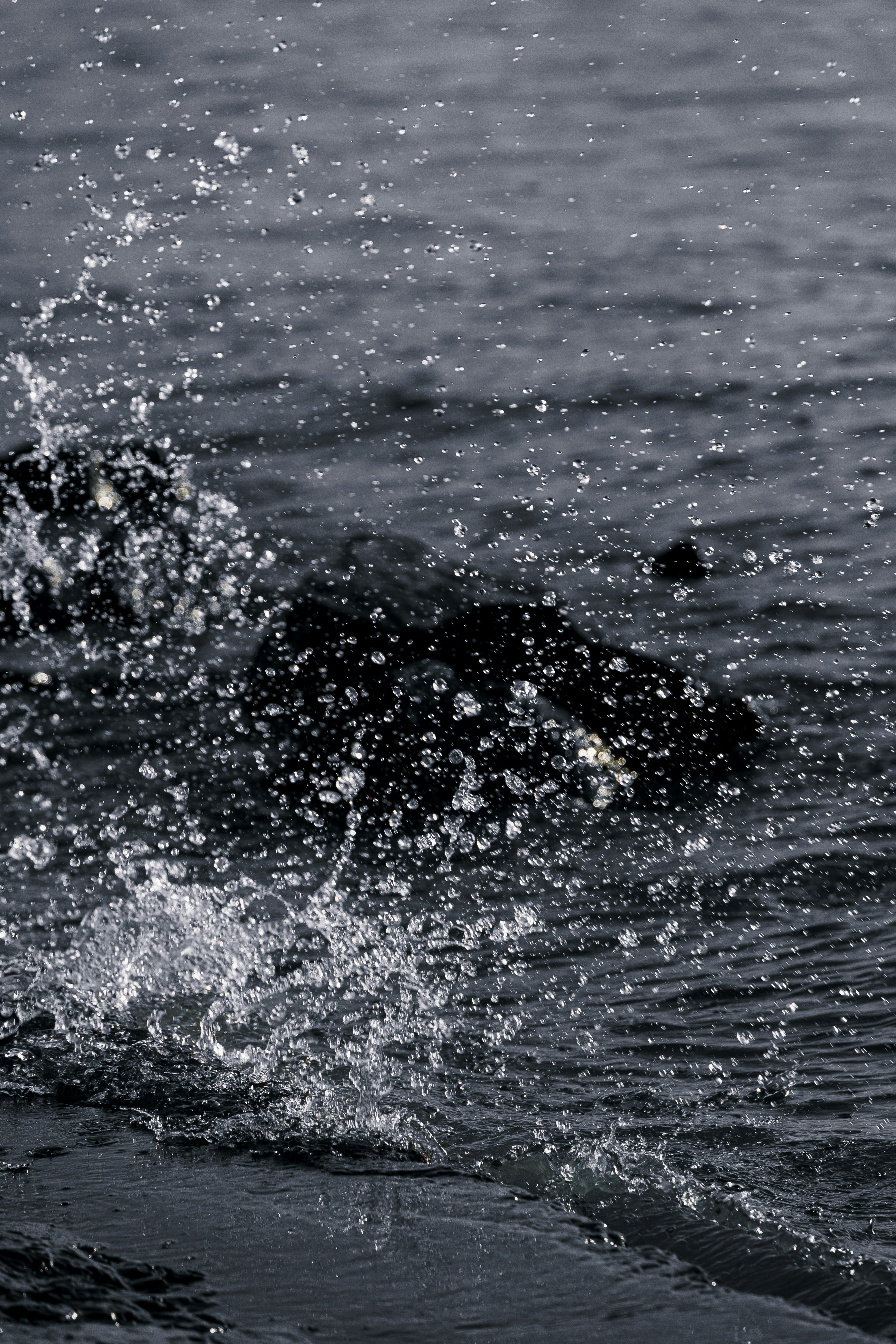 Photo by wangsheeran