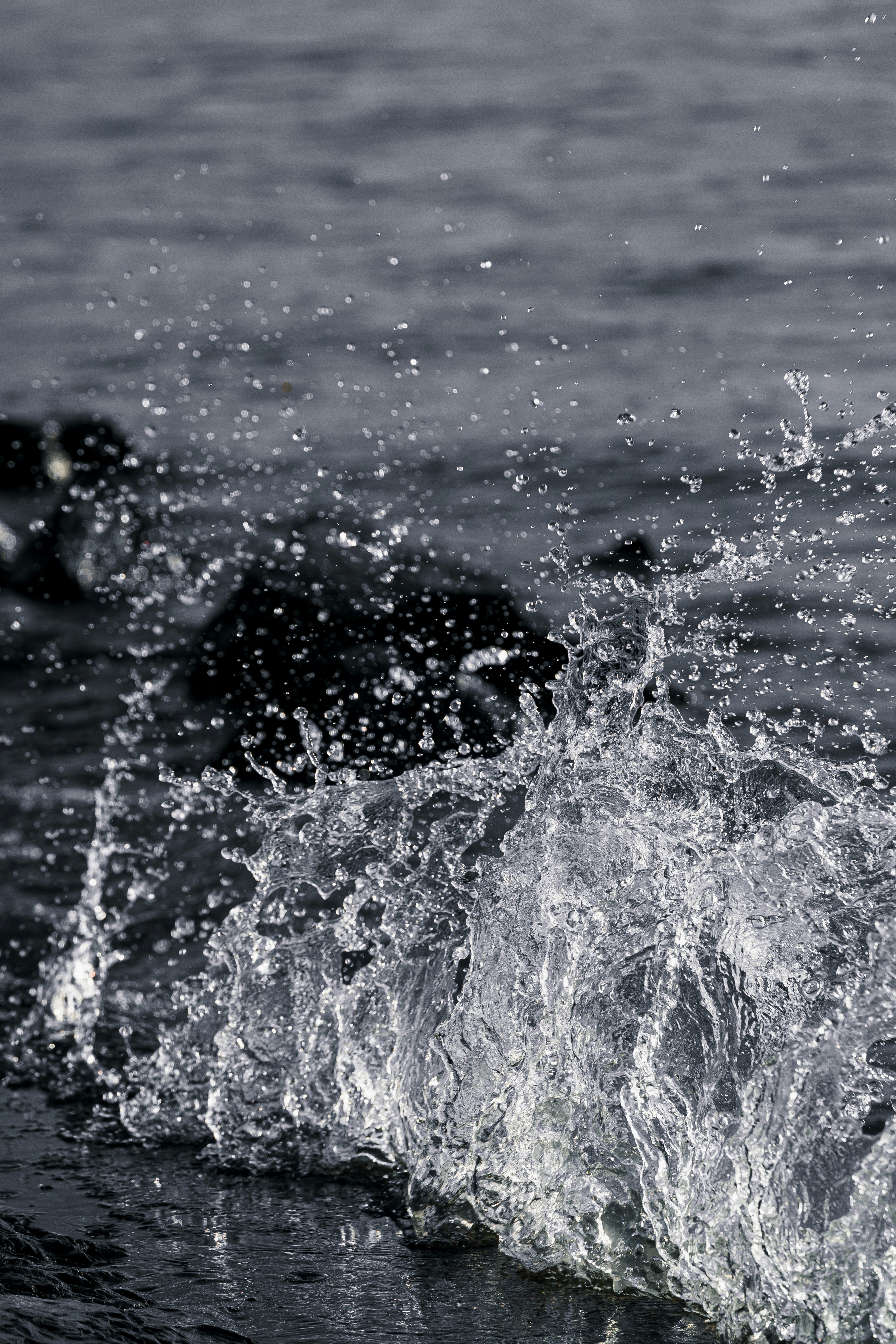 Photo by wangsheeran