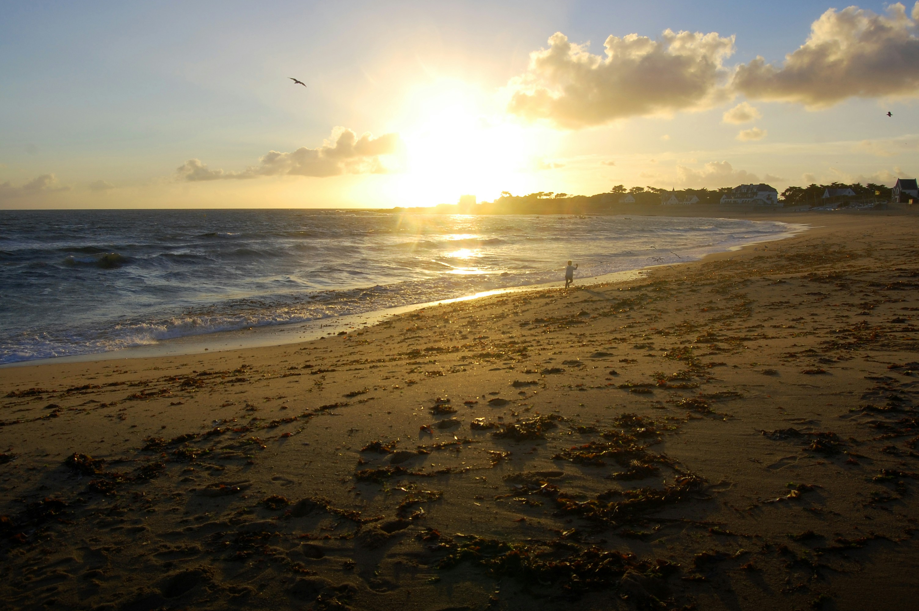 Photo by frederic_lobrutto