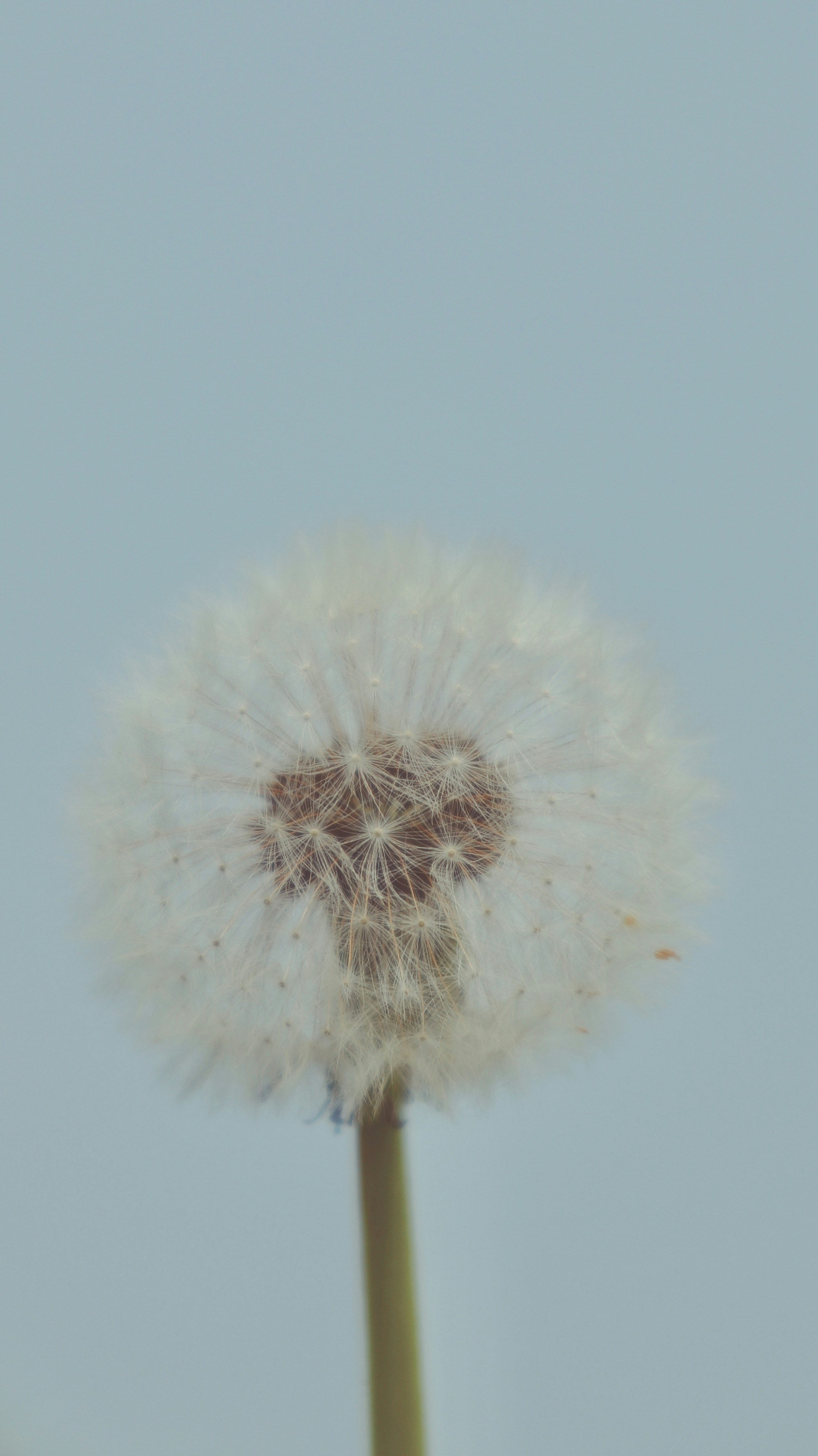 Photo by wangsheeran