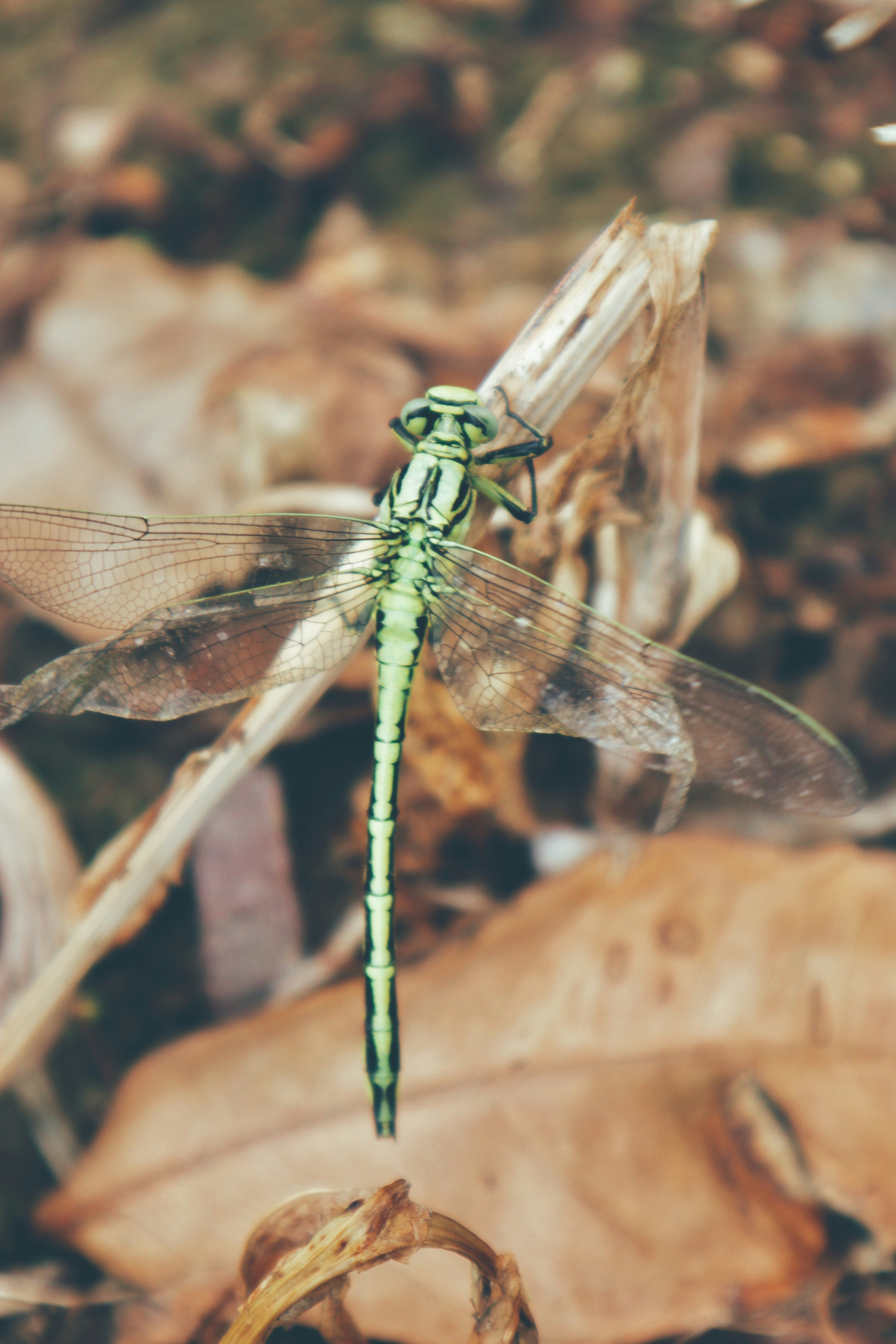 Photo by wangsheeran