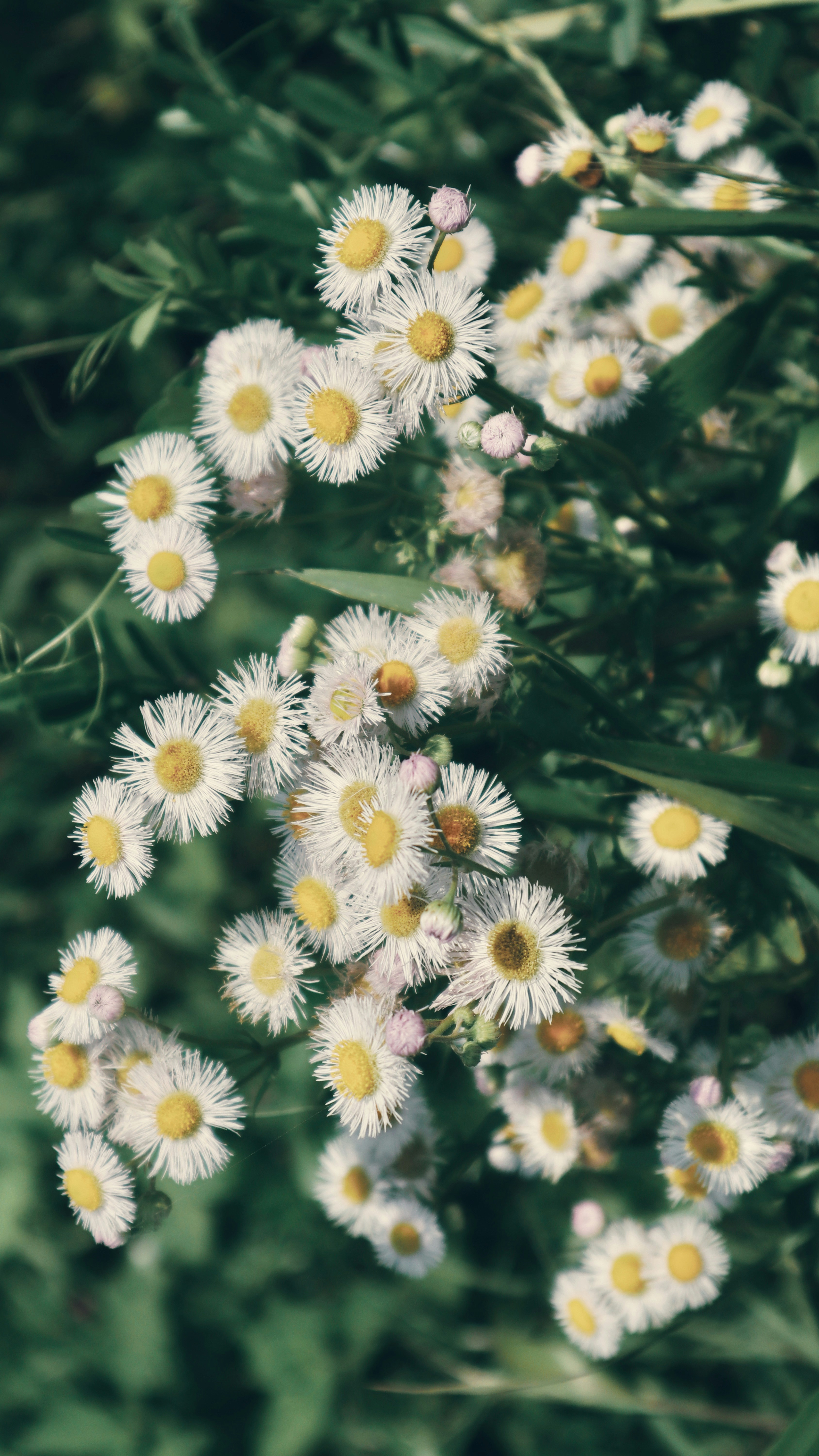 Photo by wangsheeran