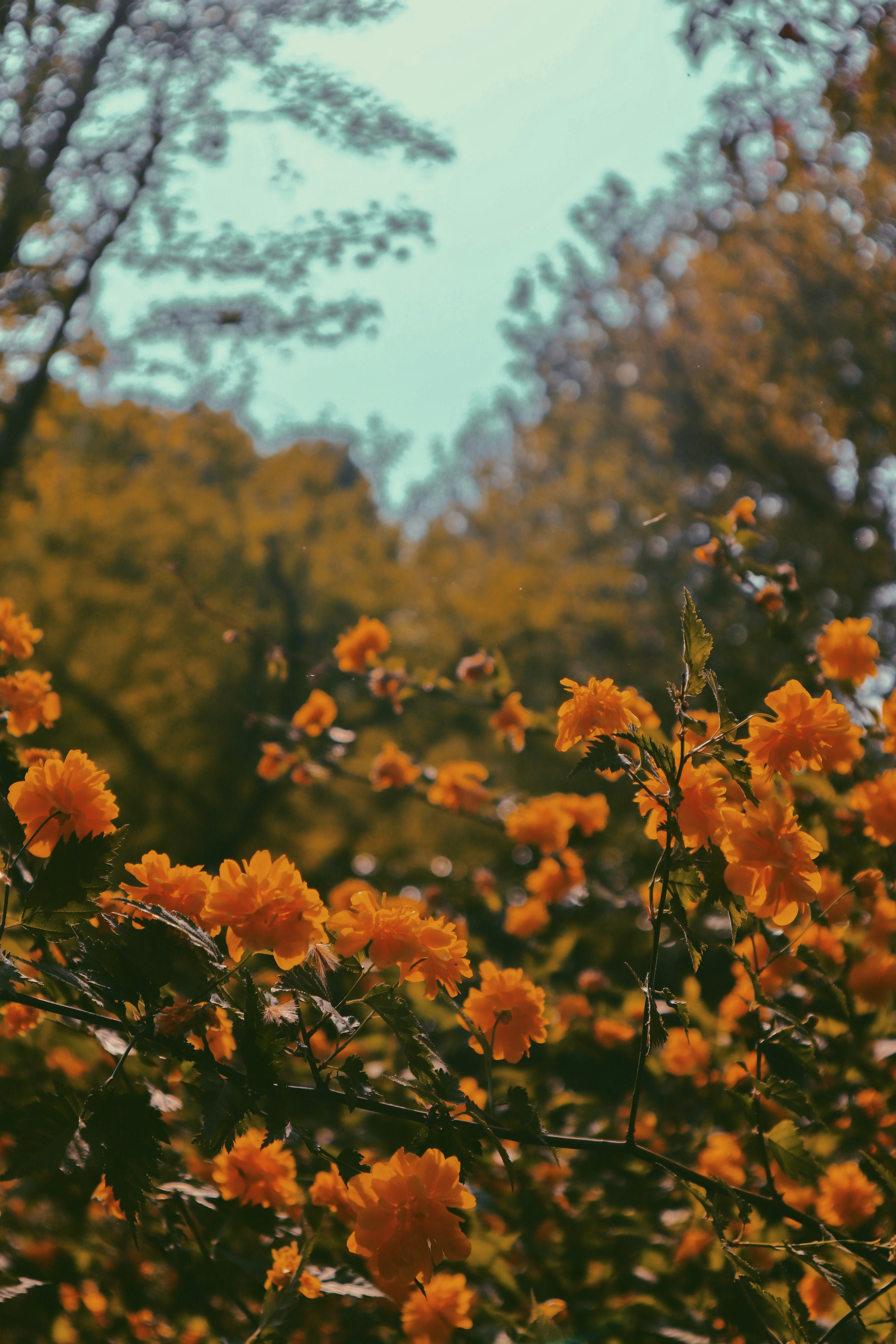 Photo by wangsheeran