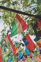 A collection of colorful international flags hangs on strings amidst lush green foliage. The leaves create a natural backdrop, with sunlight filtering through, contributing to a vibrant and lively atmosphere. Various flags represent different countries, indicating multicultural diversity.