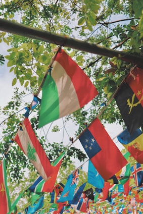 A collection of colorful international flags hangs on strings amidst lush green foliage. The leaves create a natural backdrop, with sunlight filtering through, contributing to a vibrant and lively atmosphere. Various flags represent different countries, indicating multicultural diversity.