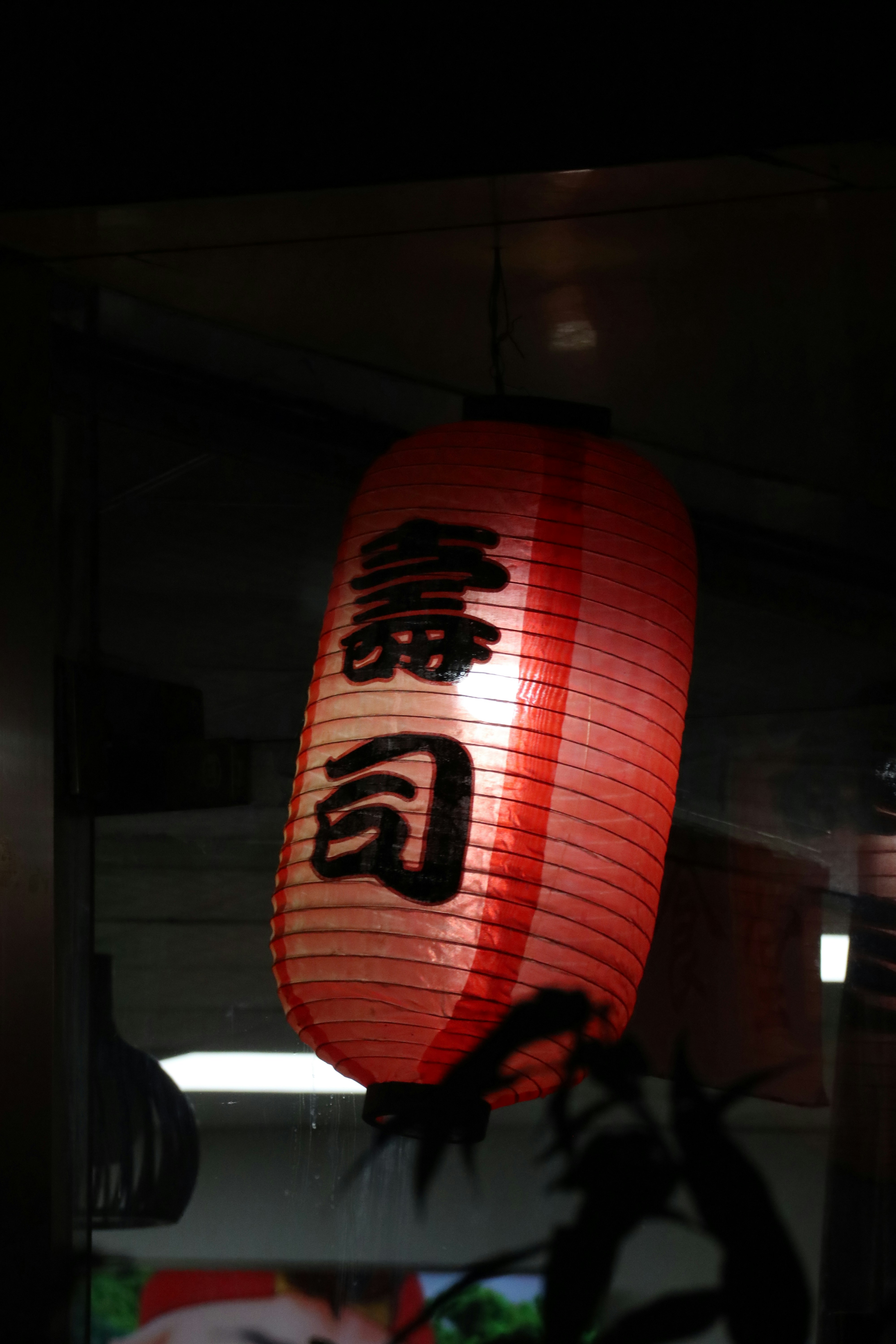 Photo by wangsheeran