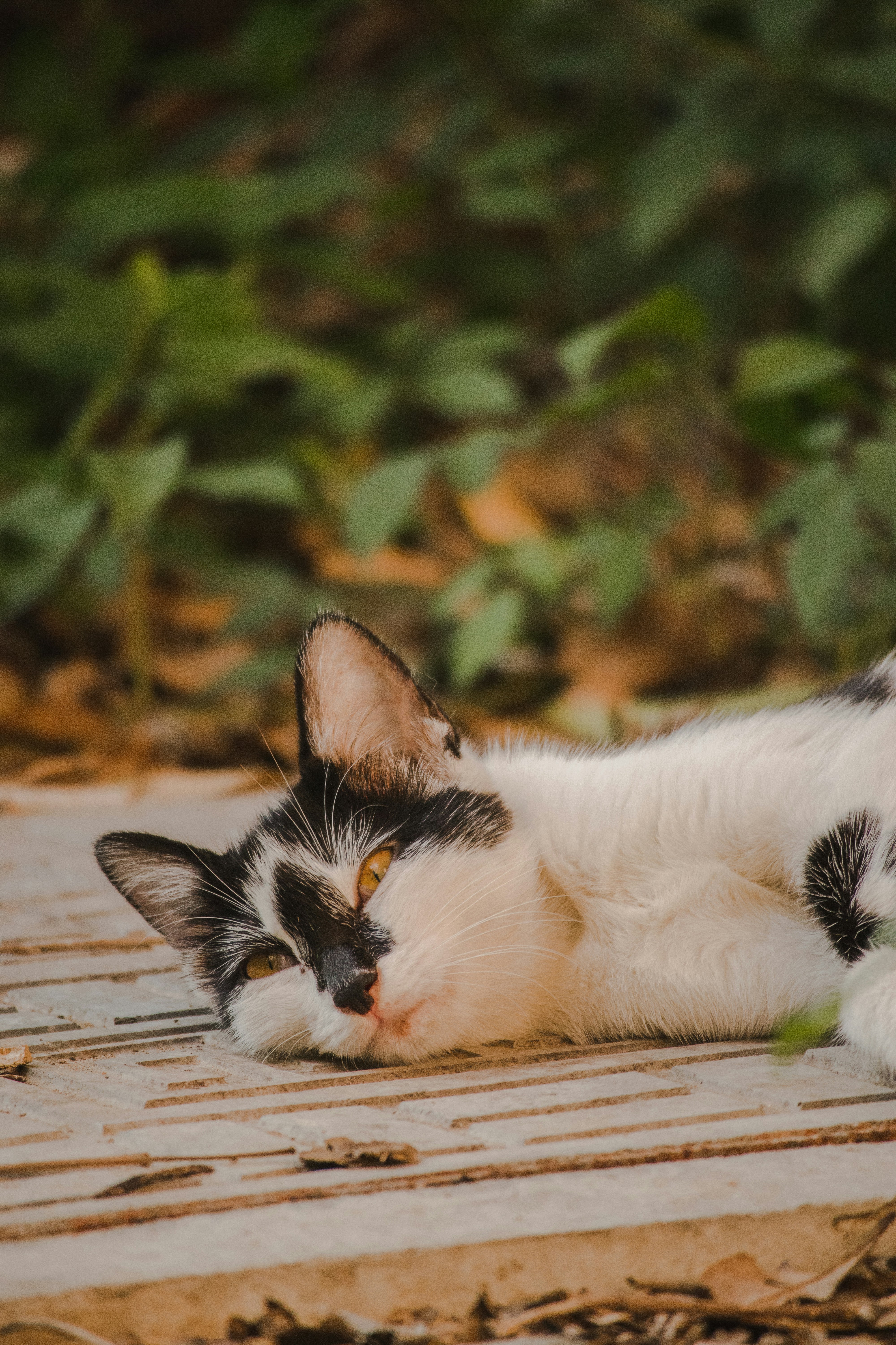 Photo by wangsheeran