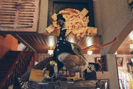 A stuffed goose dressed in a formal outfit, including a top hat, displayed in an eclectic interior. Behind the goose, there are papers or scrolls mounted on the wall, and multiple vintage objects are visible, including a display of various items on the wall. The setting appears to be a shop or a themed room with a warm, nostalgic atmosphere.
