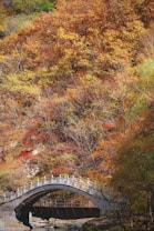 A stone bridge arches elegantly over a stream, surrounded by vibrant autumn foliage. The forest is full of trees with leaves in various shades of orange, yellow, and red, creating a rich tapestry of fall colors. The sunlight filters through the branches, casting dappled shadows on the ground and the bridge.