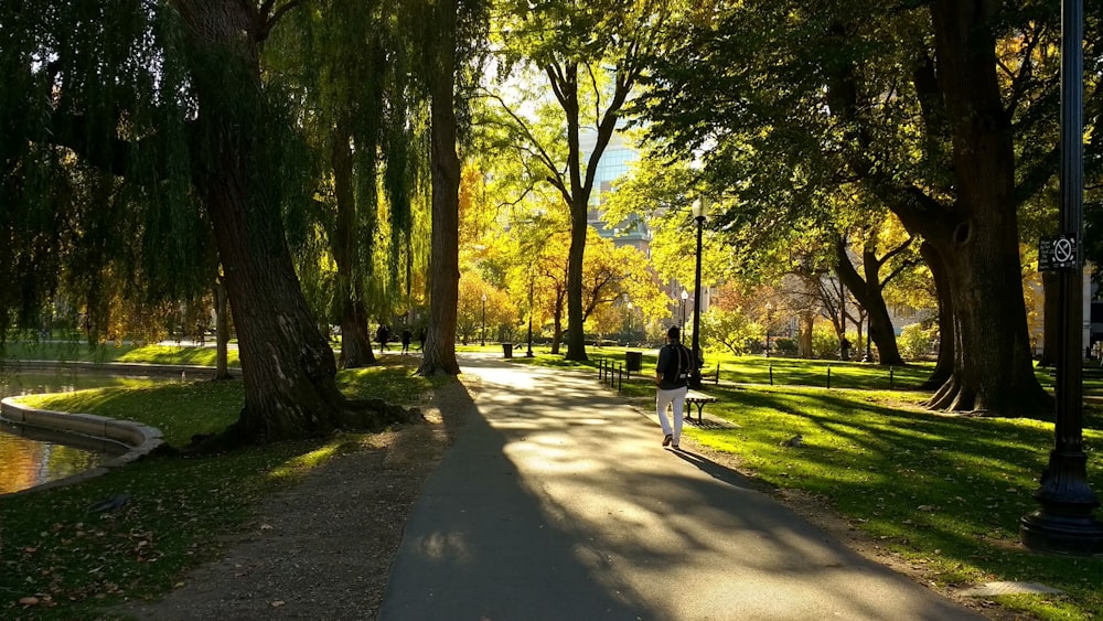 a person walking down a path in a park