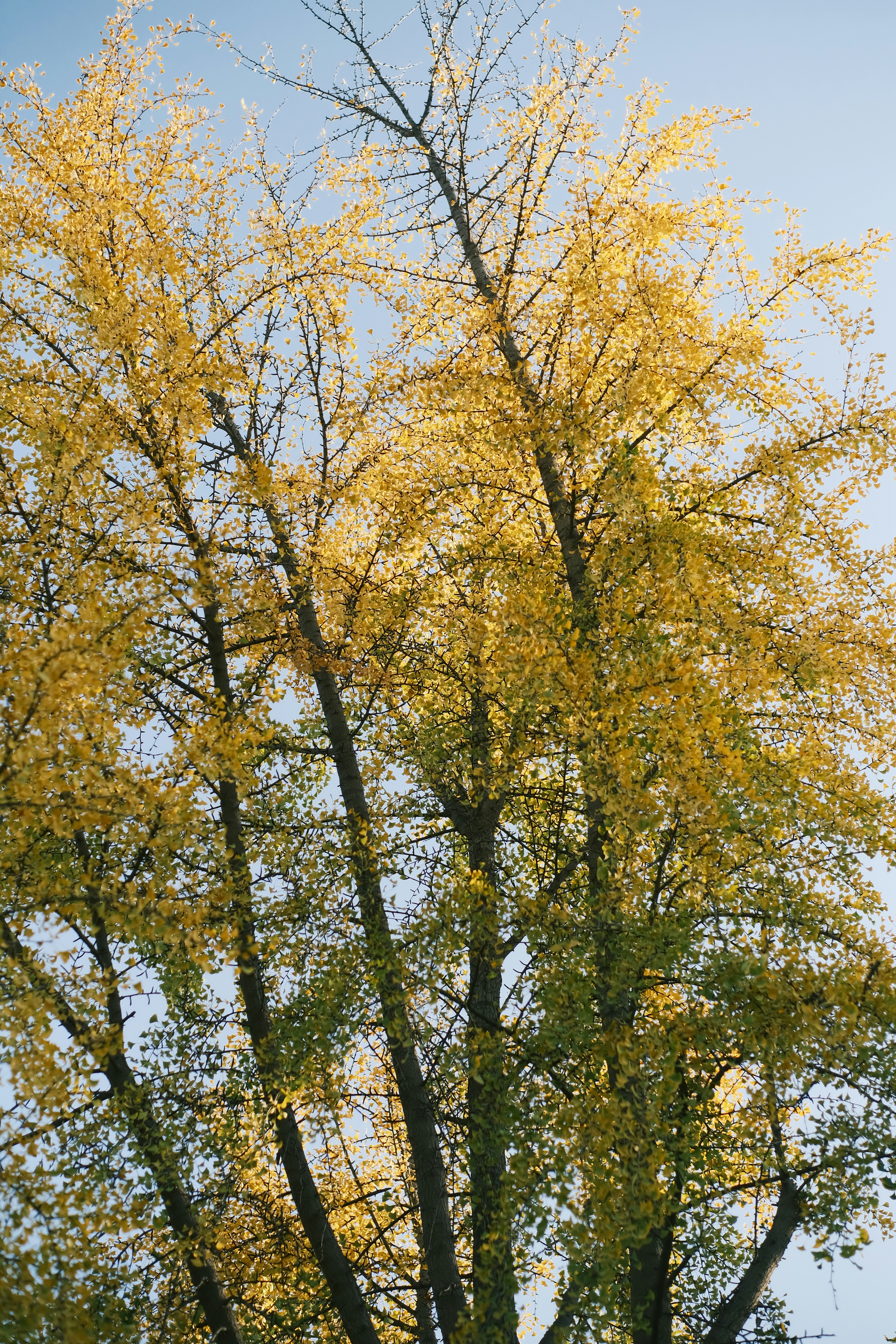 Photo by maycloudbackup