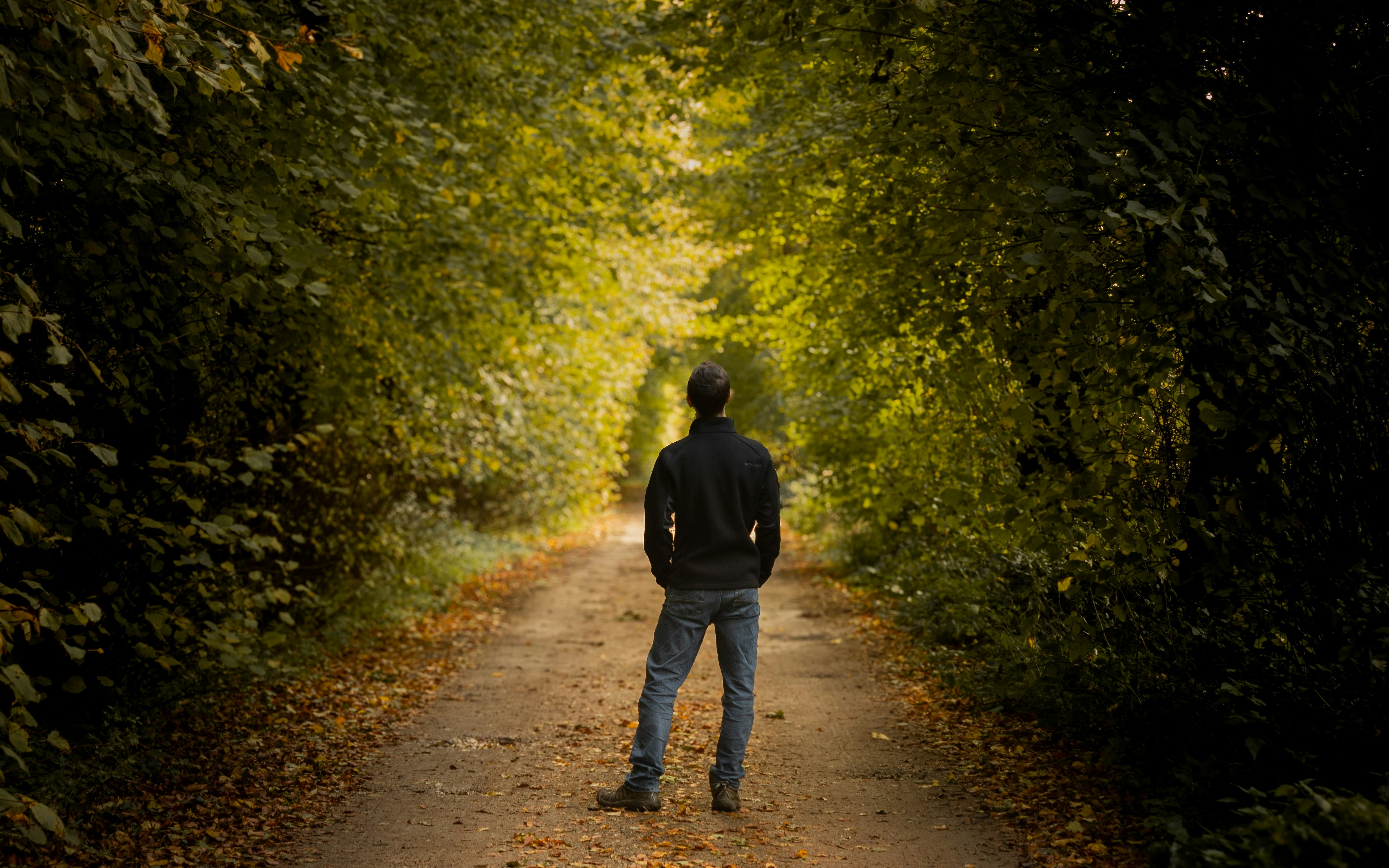 a man standing in the middle of a tunnel of trees