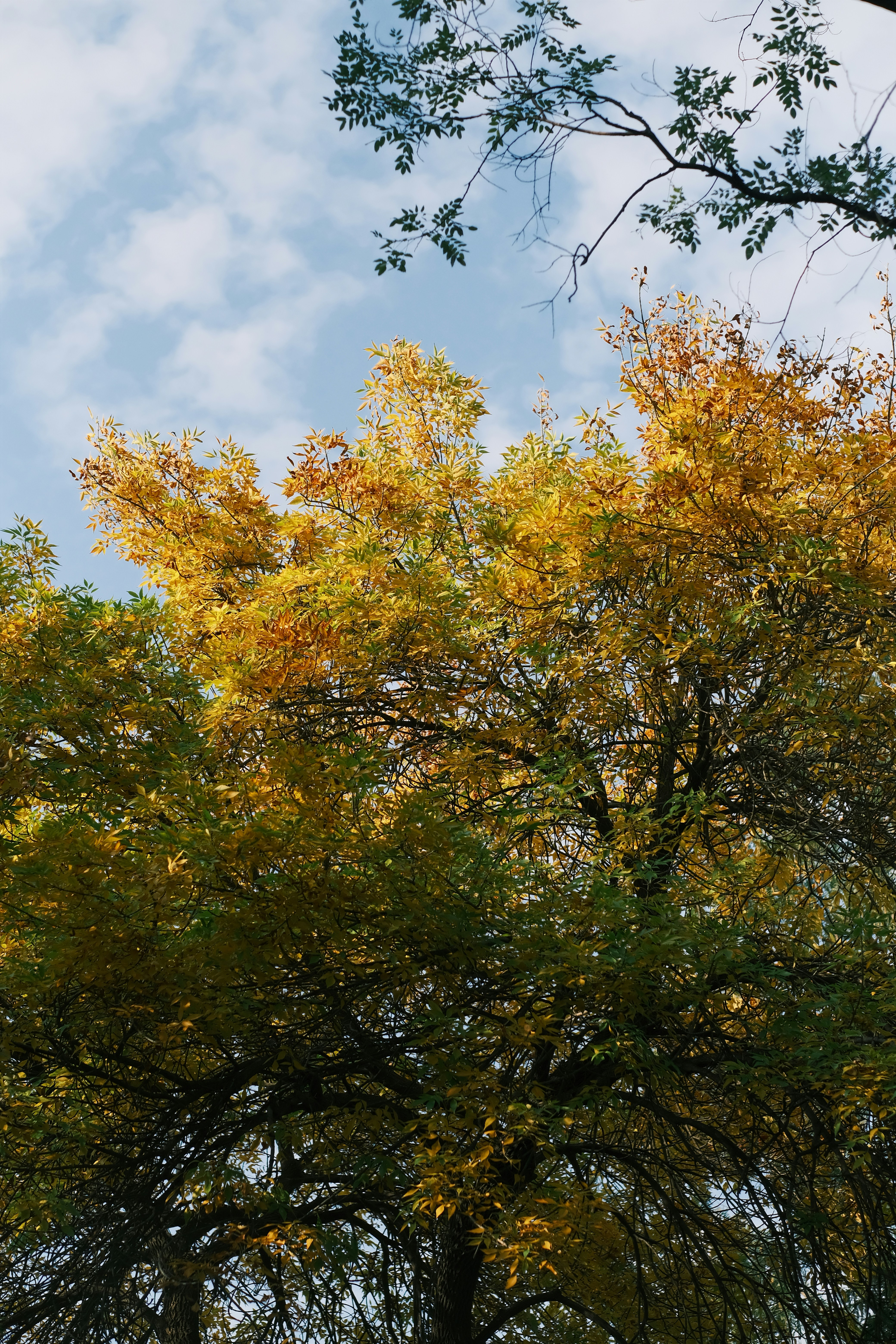 Photo by maycloudbackup