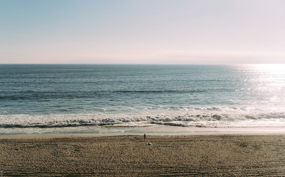 a person standing on a beach next to the ocean